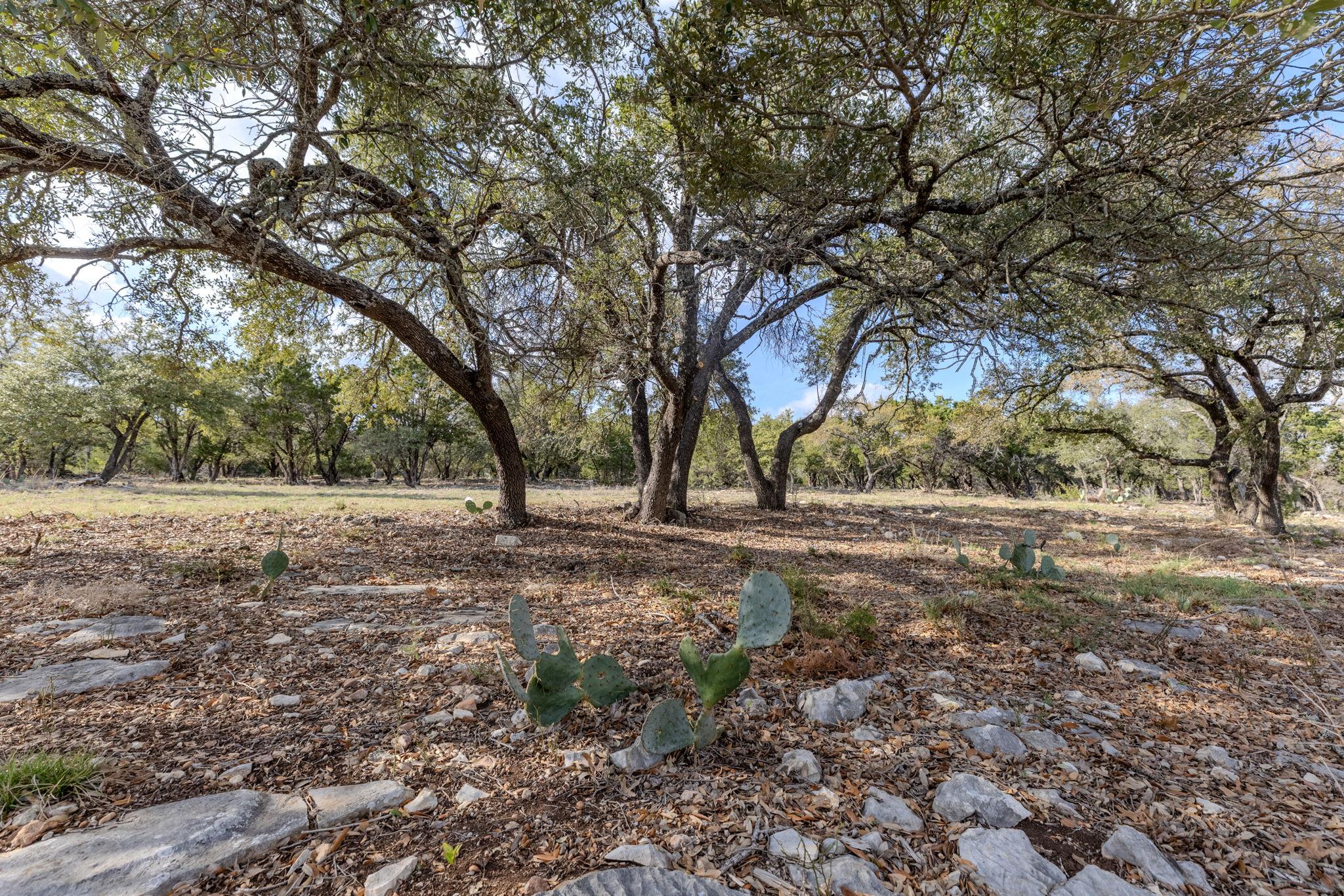 55 Camp Springs Ln, Georgetown, TX 78633