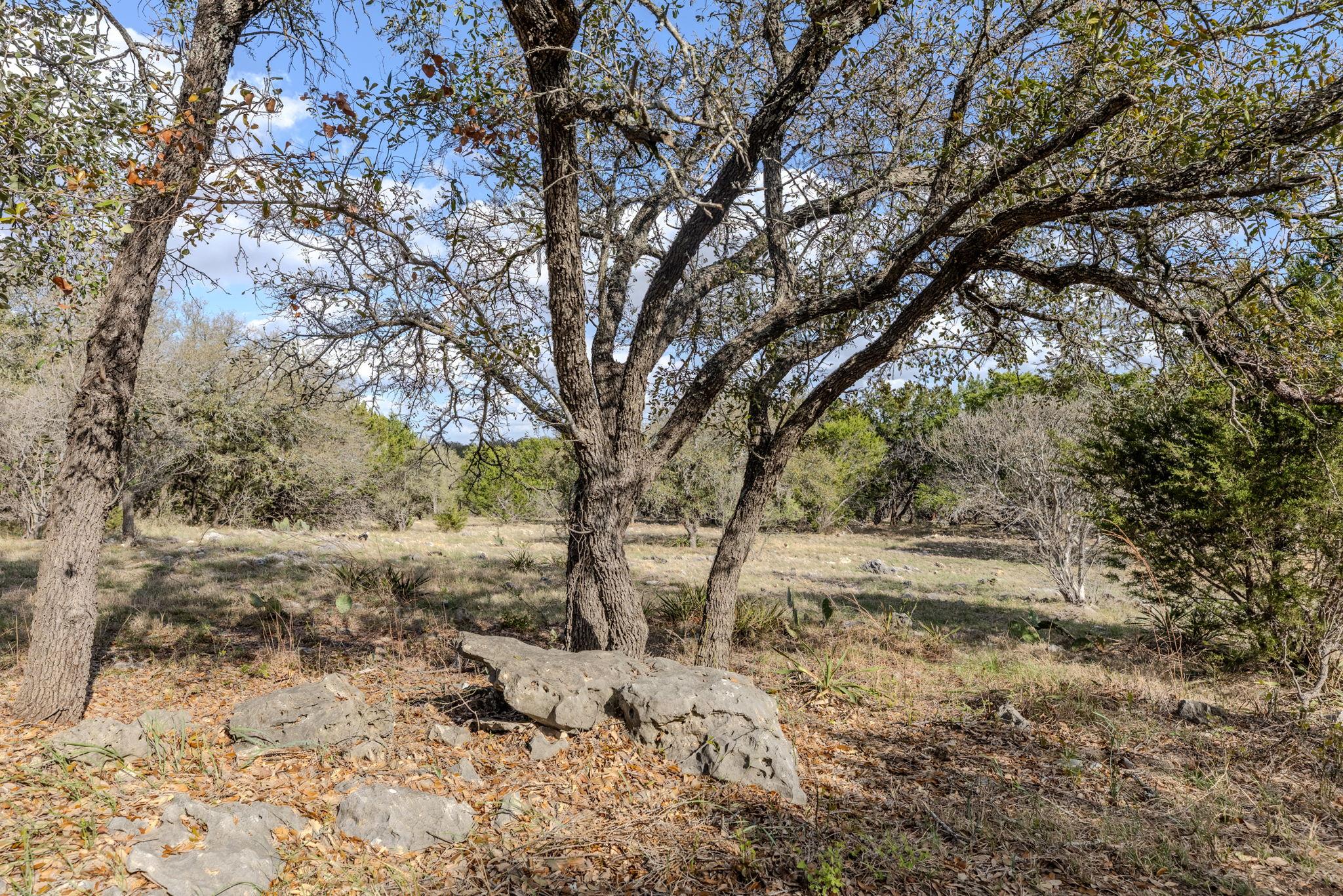 55 Camp Springs Ln, Georgetown, TX 78633