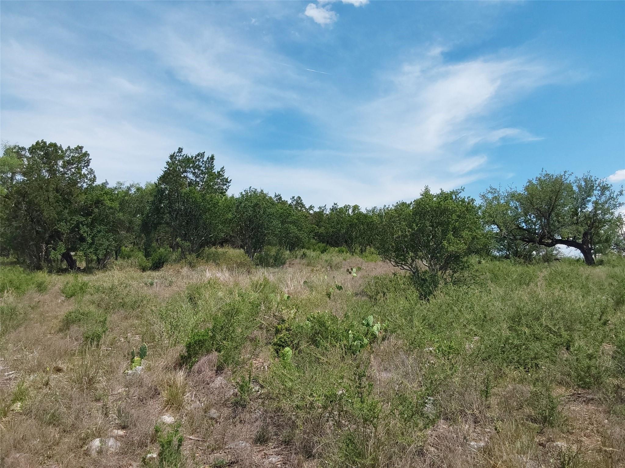 313 EAGLE BASIN Cir, Spicewood, TX 78669