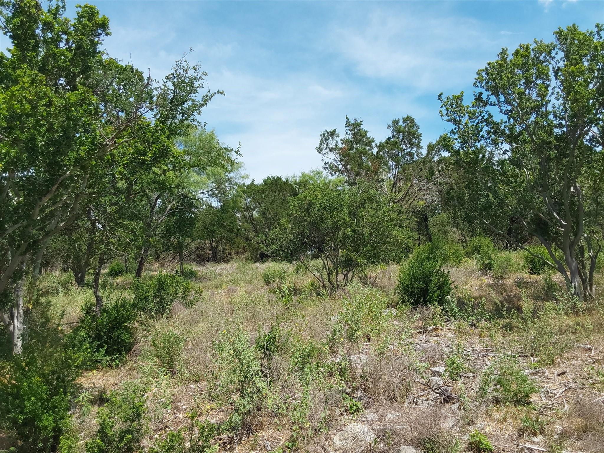 313 EAGLE BASIN Cir, Spicewood, TX 78669