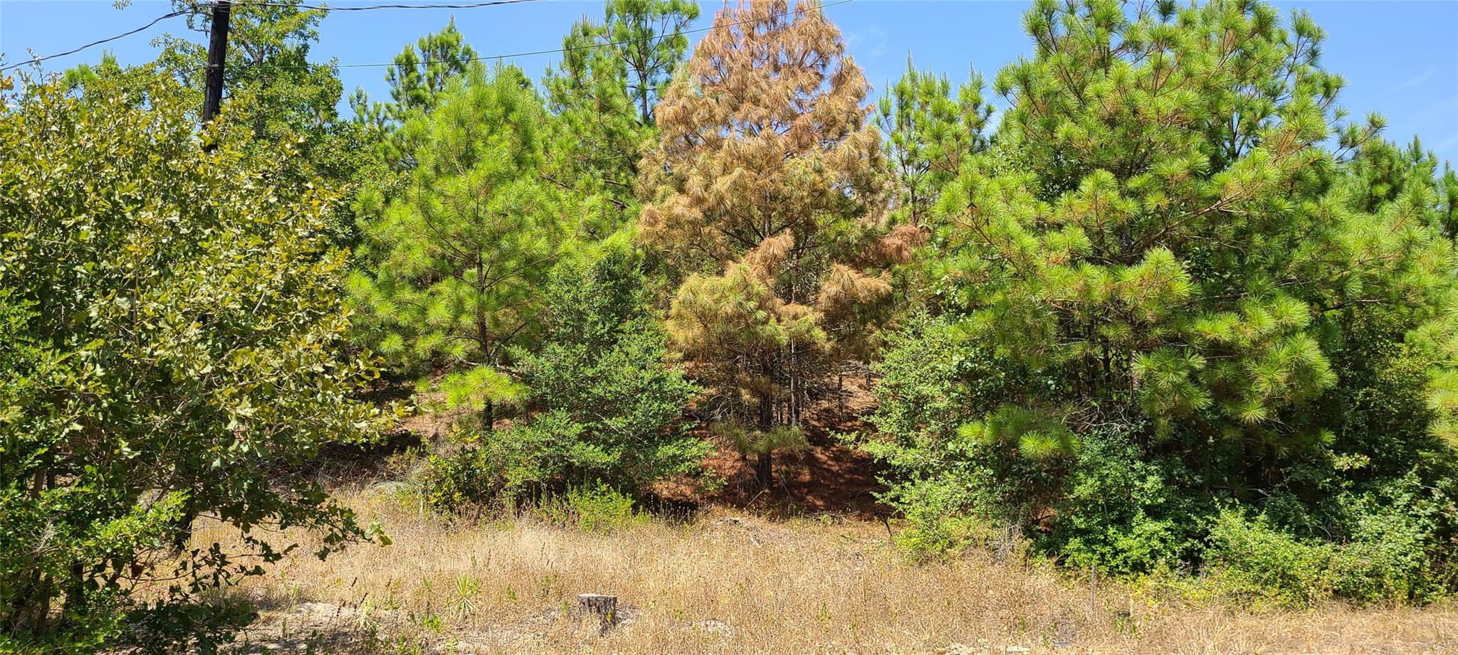 TBD Tall Forest Dr, Bastrop, TX 78602