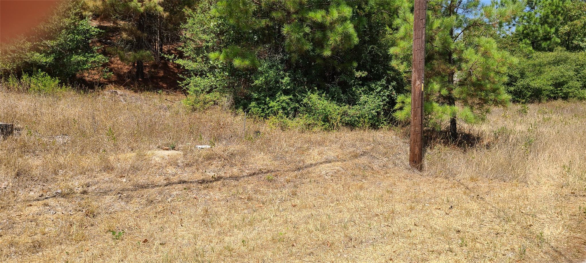 TBD Tall Forest Dr, Bastrop, TX 78602