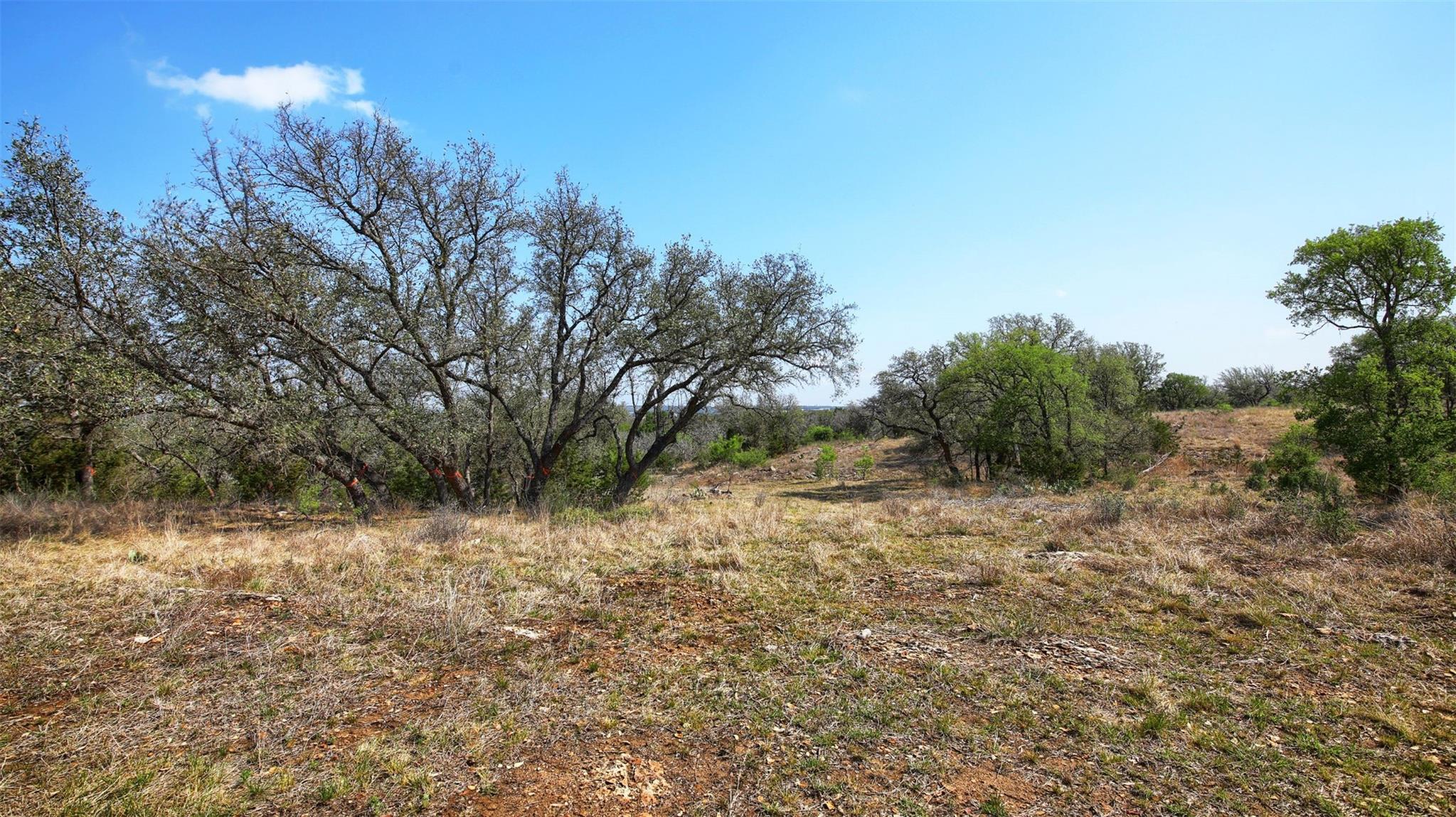 0000 Mormon Mill Rd, Marble Falls, TX 78654