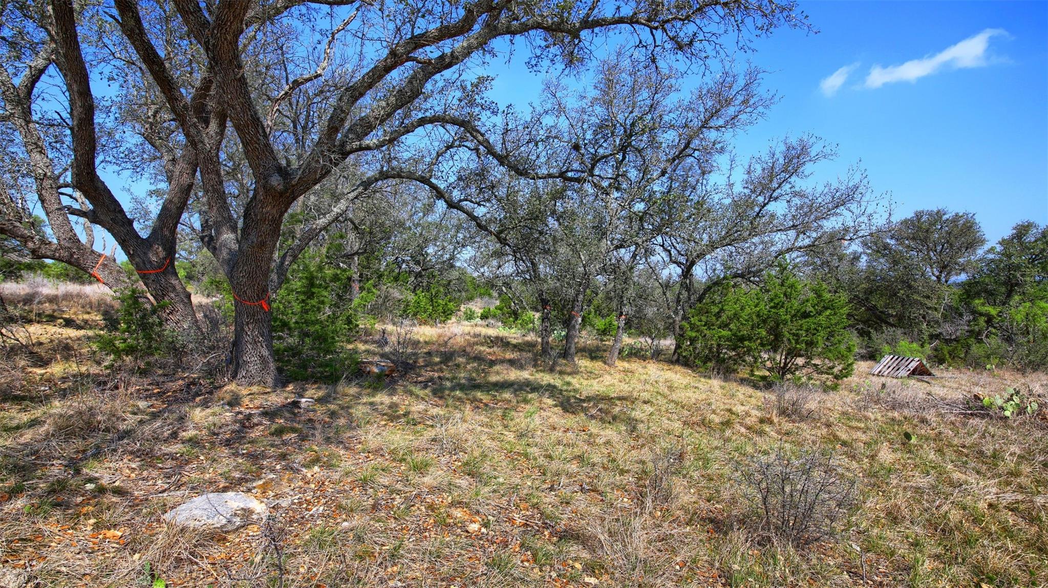 0000 Mormon Mill Rd, Marble Falls, TX 78654