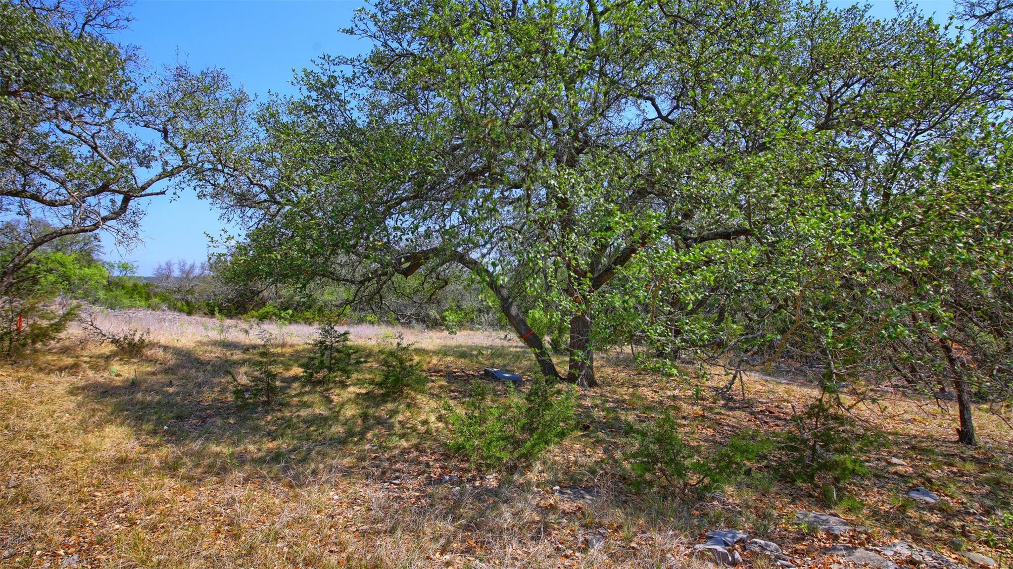 0000 Mormon Mill Rd, Marble Falls, TX 78654