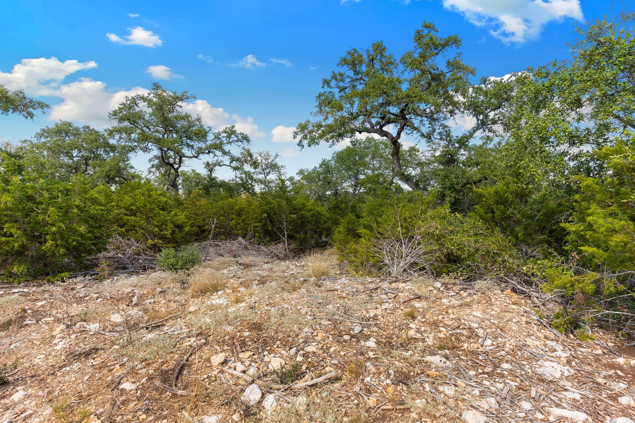 New Braunfels,  TX 78132