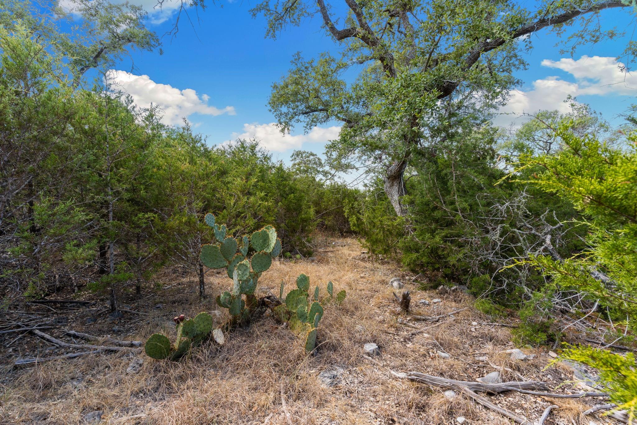 New Braunfels,  TX 78132