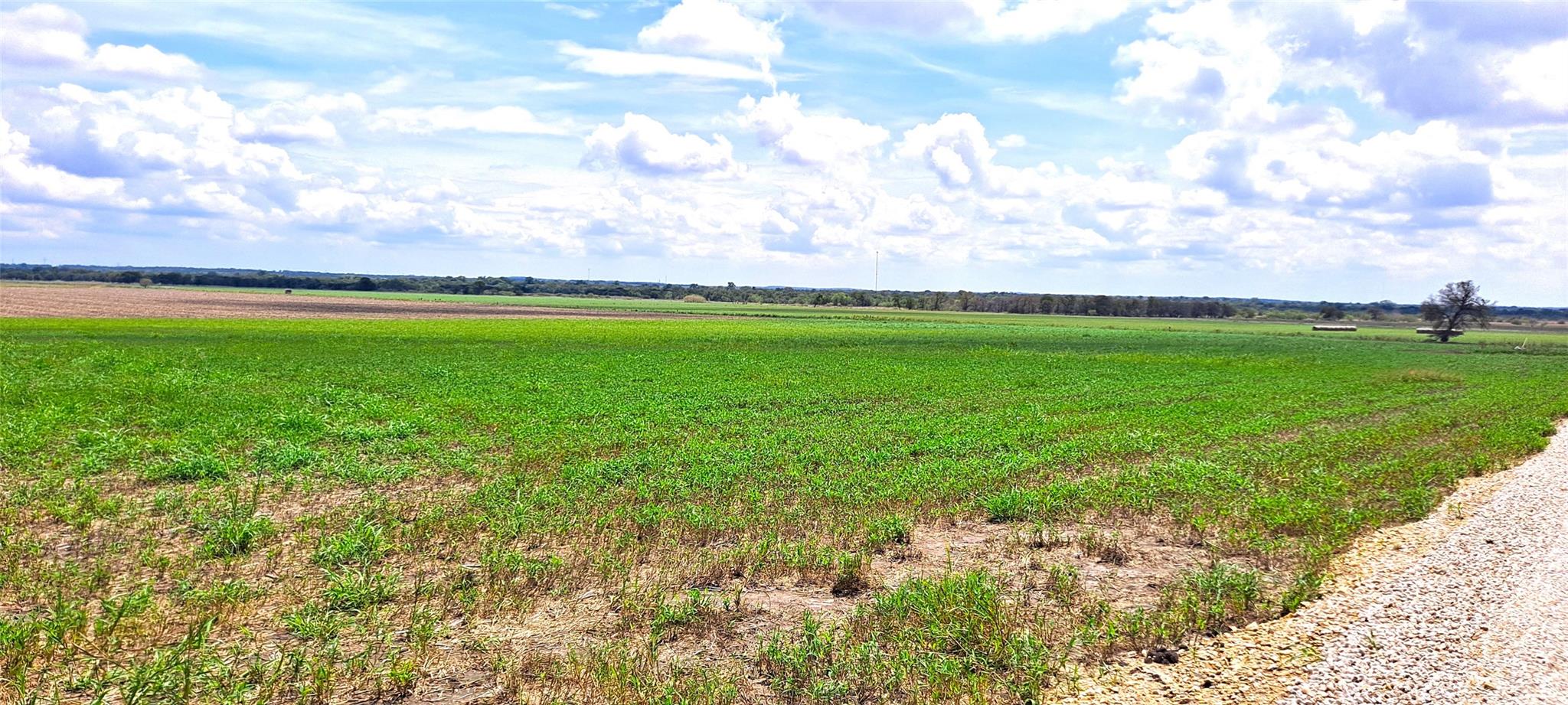 3135 CR 432 Rd, Thorndale, TX 76577