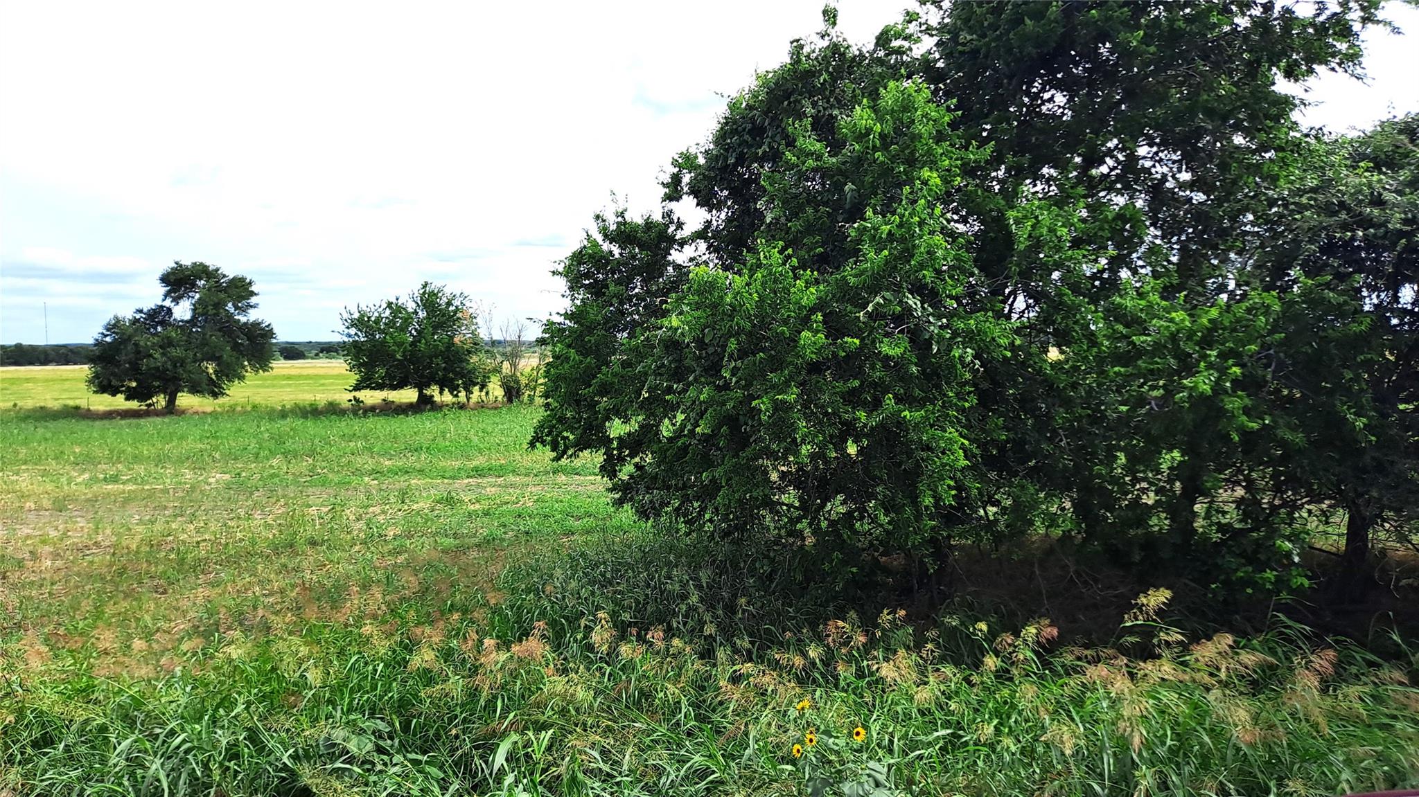 3135 CR 432 Rd, Thorndale, TX 76577