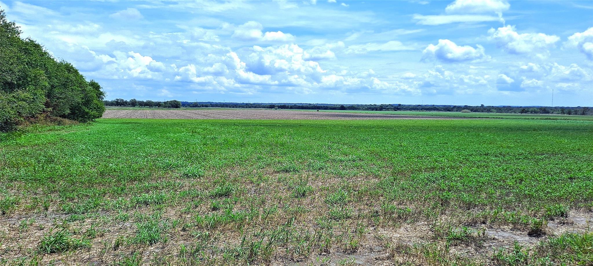 3135 CR 432 Rd, Thorndale, TX 76577