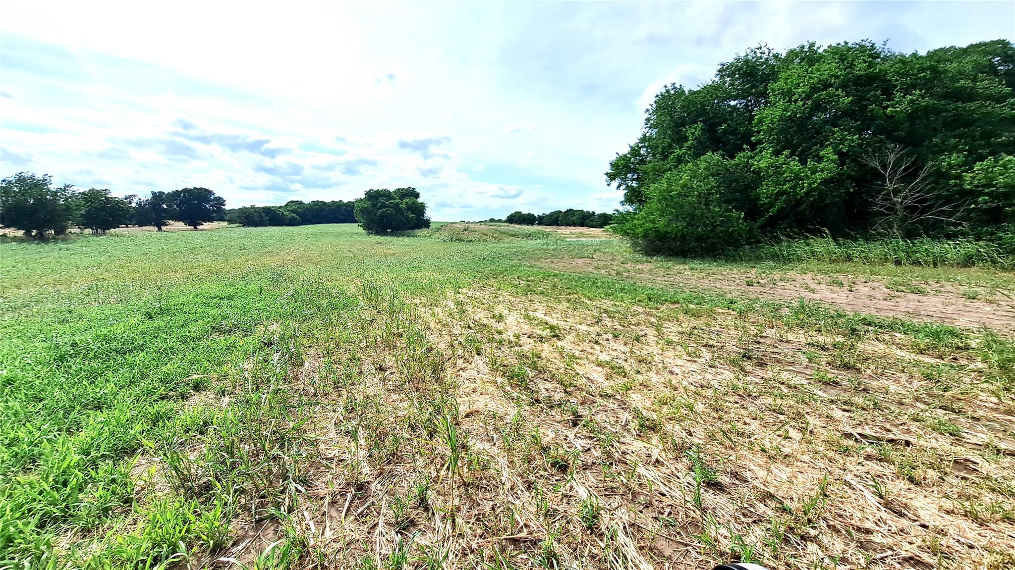 3135 CR 432 Rd, Thorndale, TX 76577