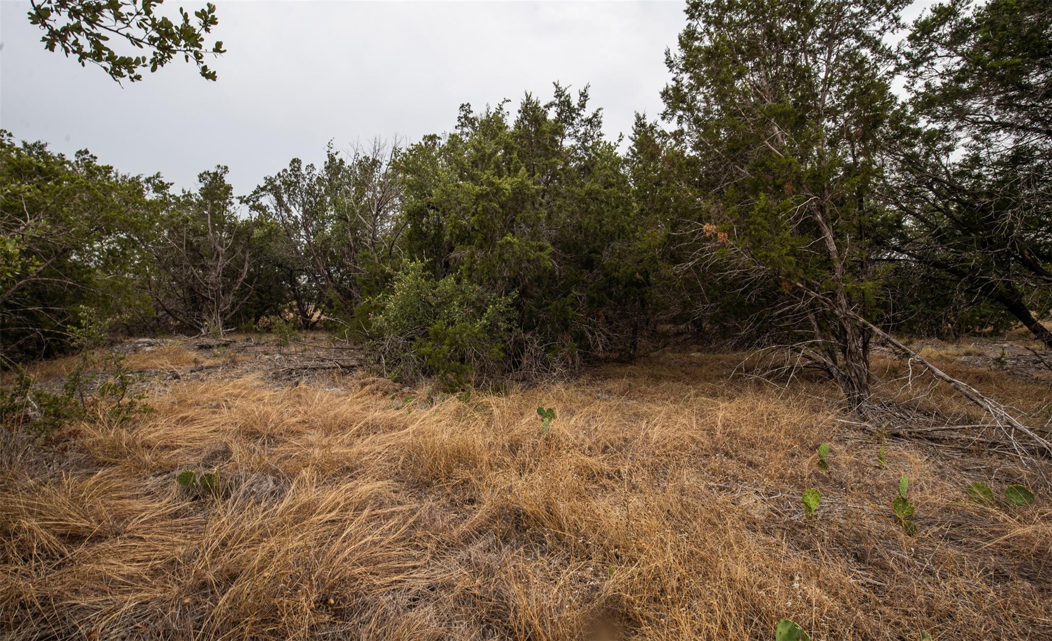 Lot 44 Mountain Laurel Ln, Spicewood, TX 78669