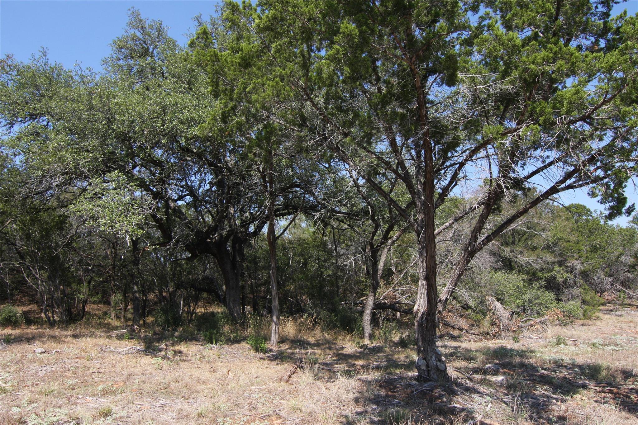 LOT 78 Laurel Wood Ct, Spicewood, TX 78669