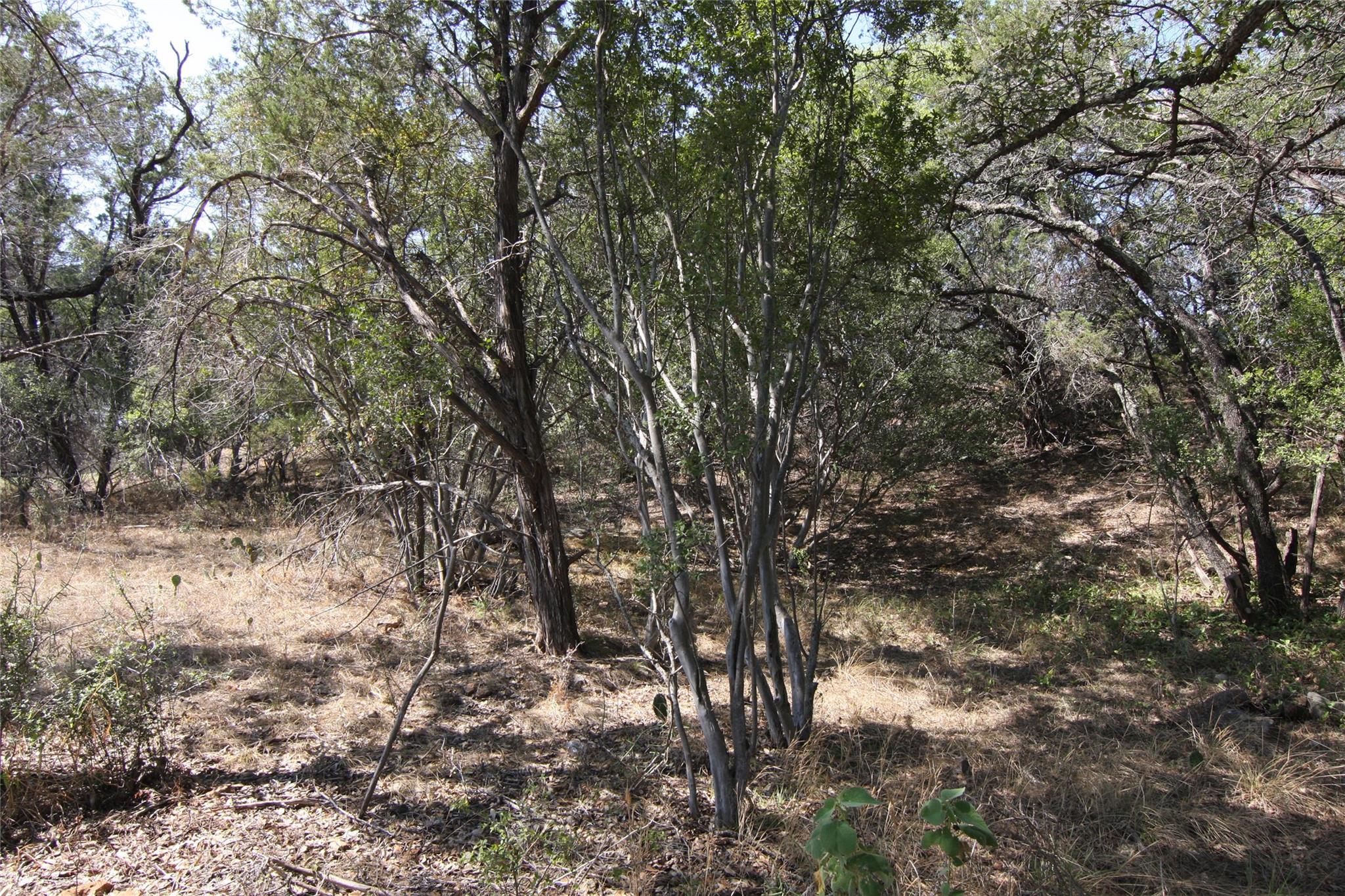 LOT 78 Laurel Wood Ct, Spicewood, TX 78669