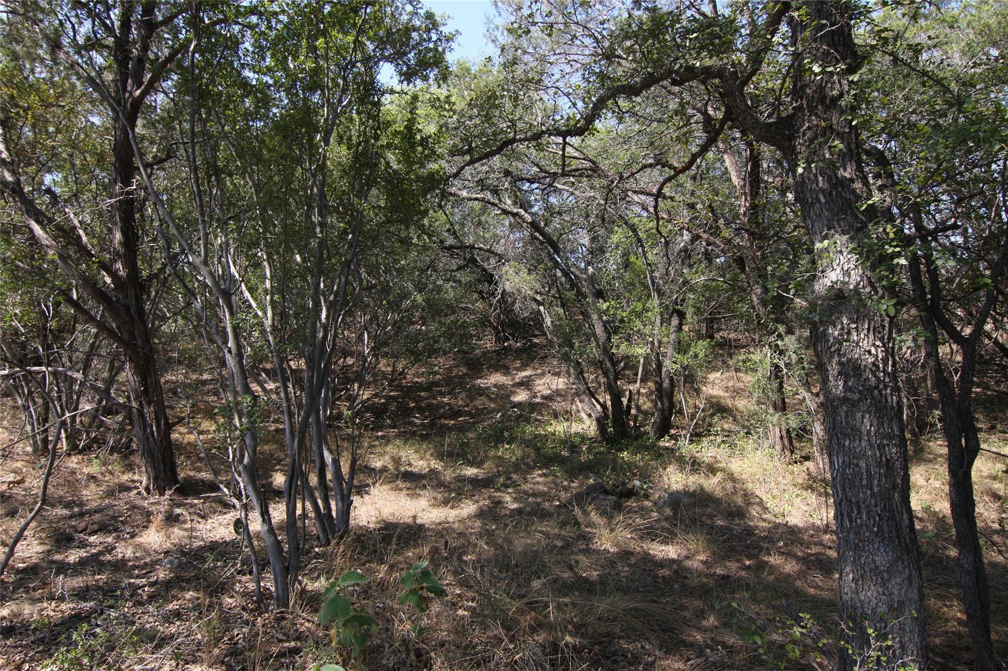 LOT 78 Laurel Wood Ct, Spicewood, TX 78669