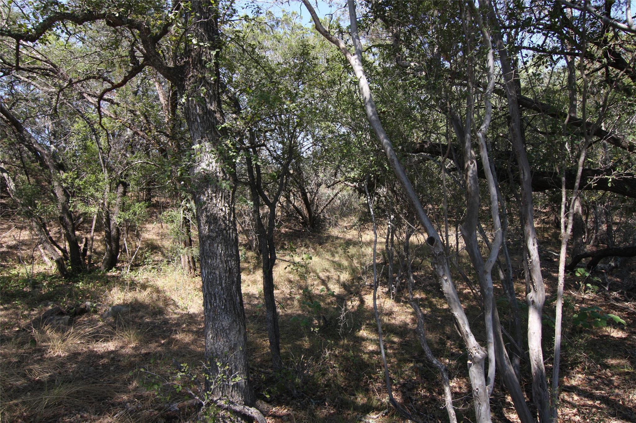 LOT 78 Laurel Wood Ct, Spicewood, TX 78669