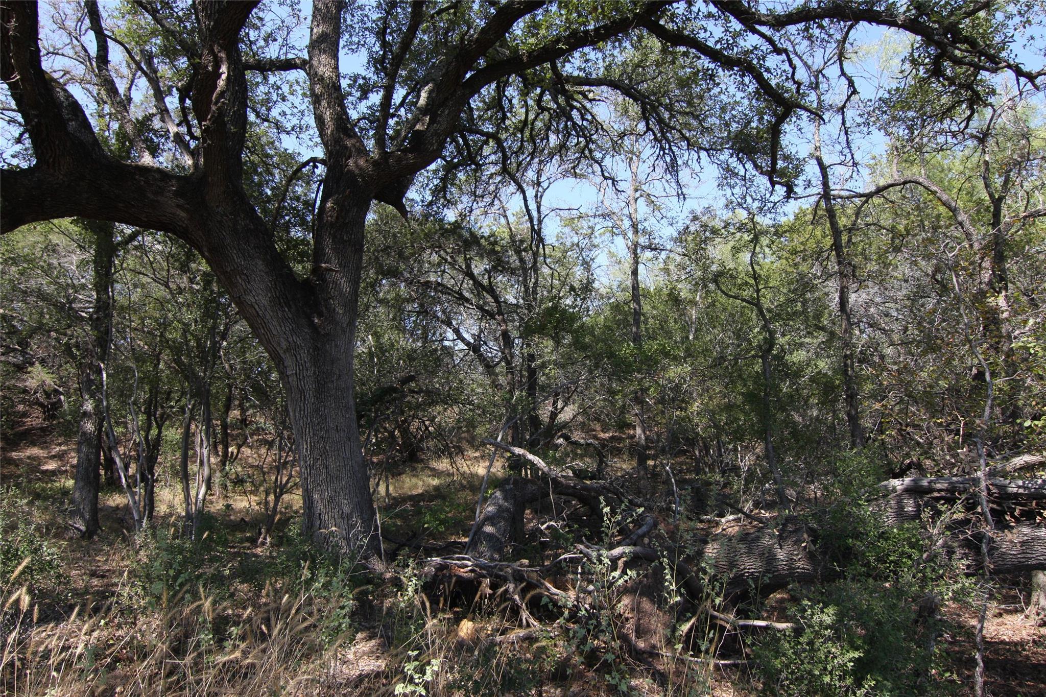 LOT 78 Laurel Wood Ct, Spicewood, TX 78669