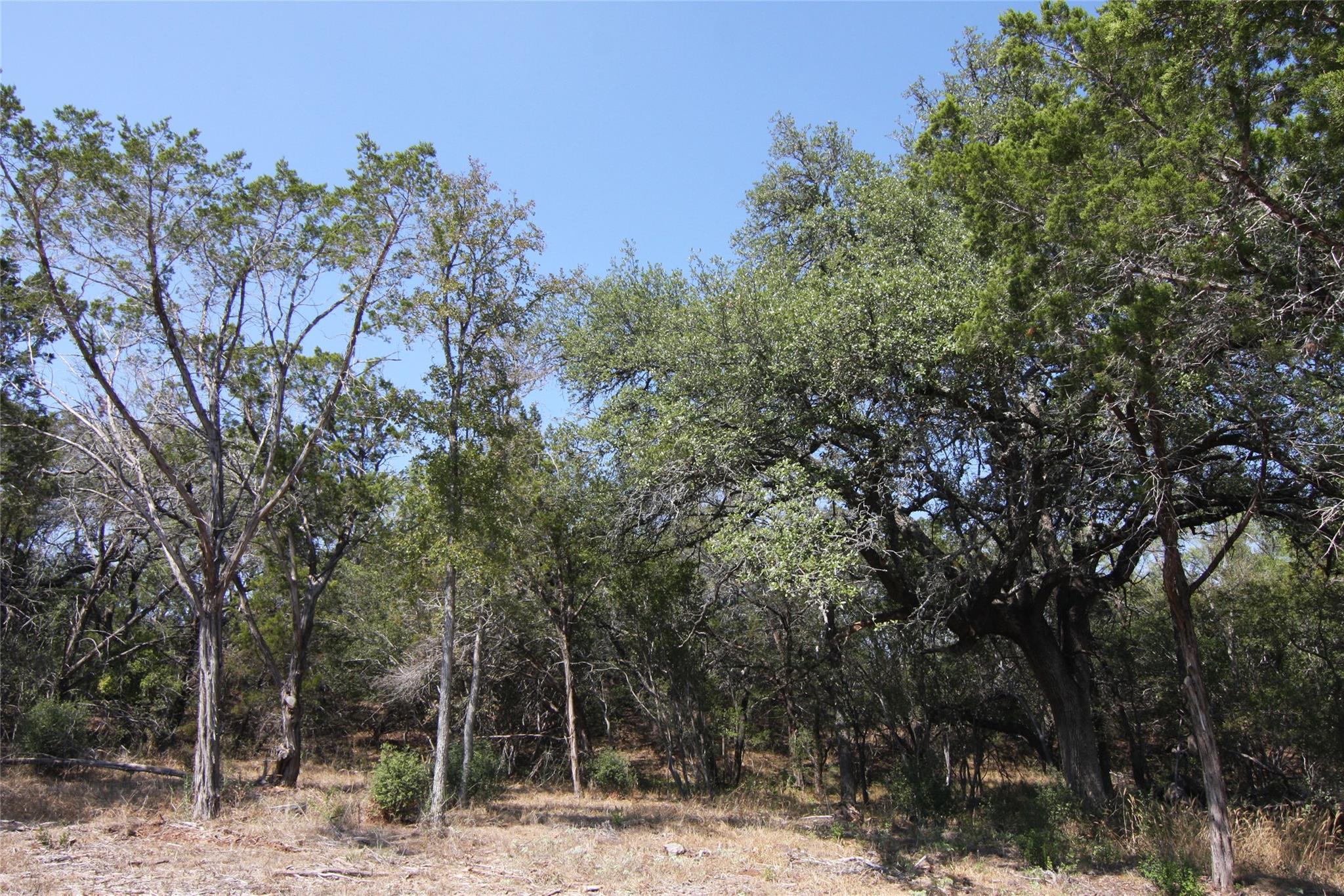 LOT 78 Laurel Wood Ct, Spicewood, TX 78669