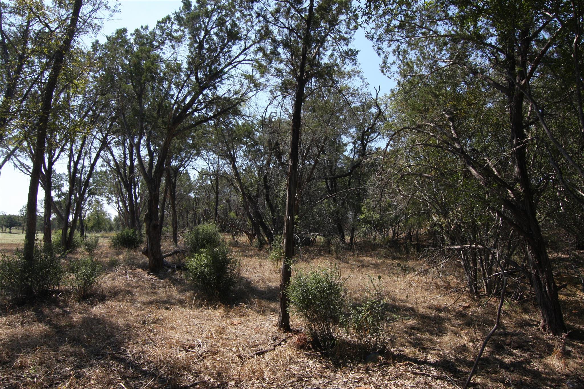 LOT 78 Laurel Wood Ct, Spicewood, TX 78669