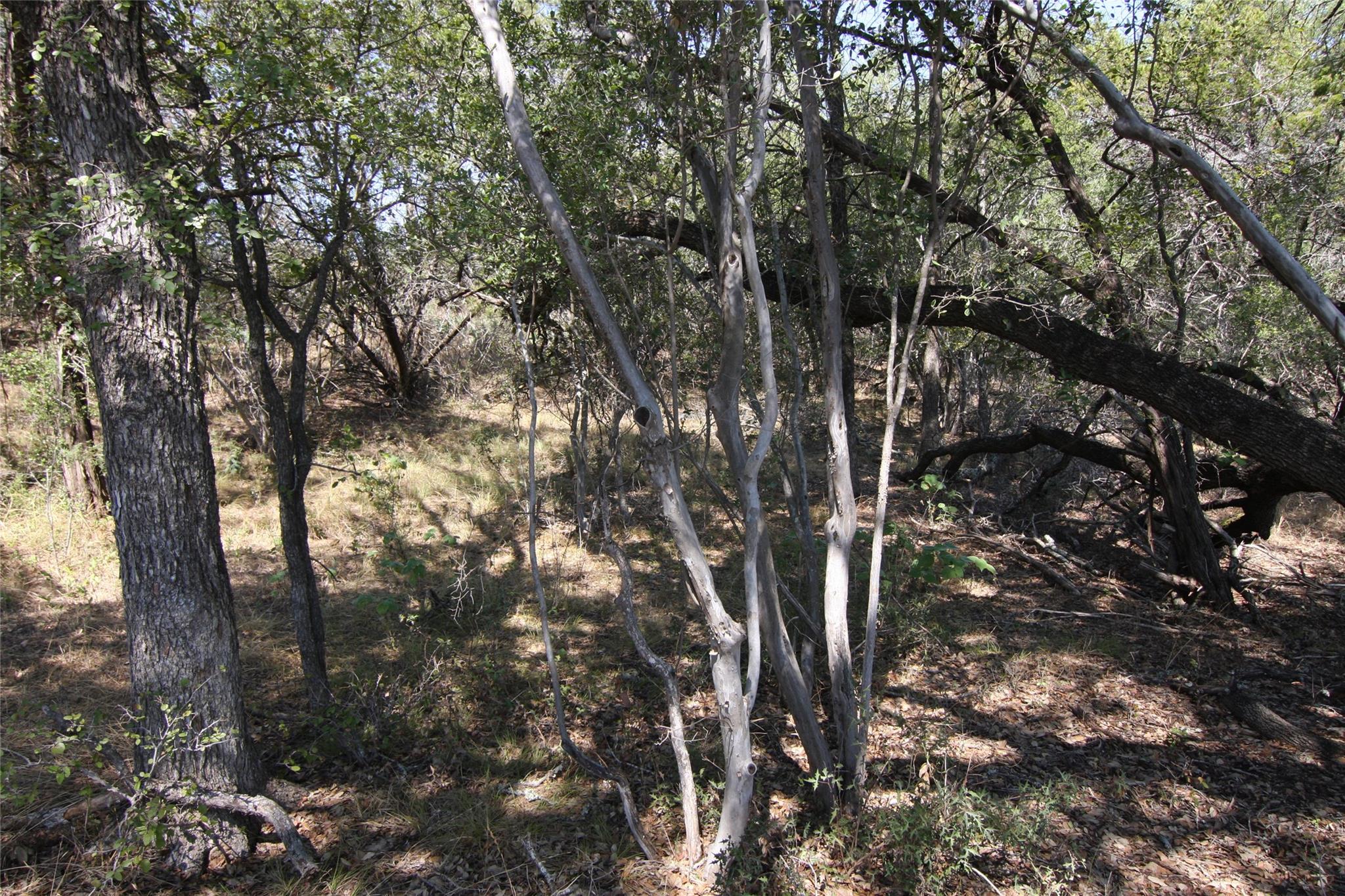 LOT 78 Laurel Wood Ct, Spicewood, TX 78669