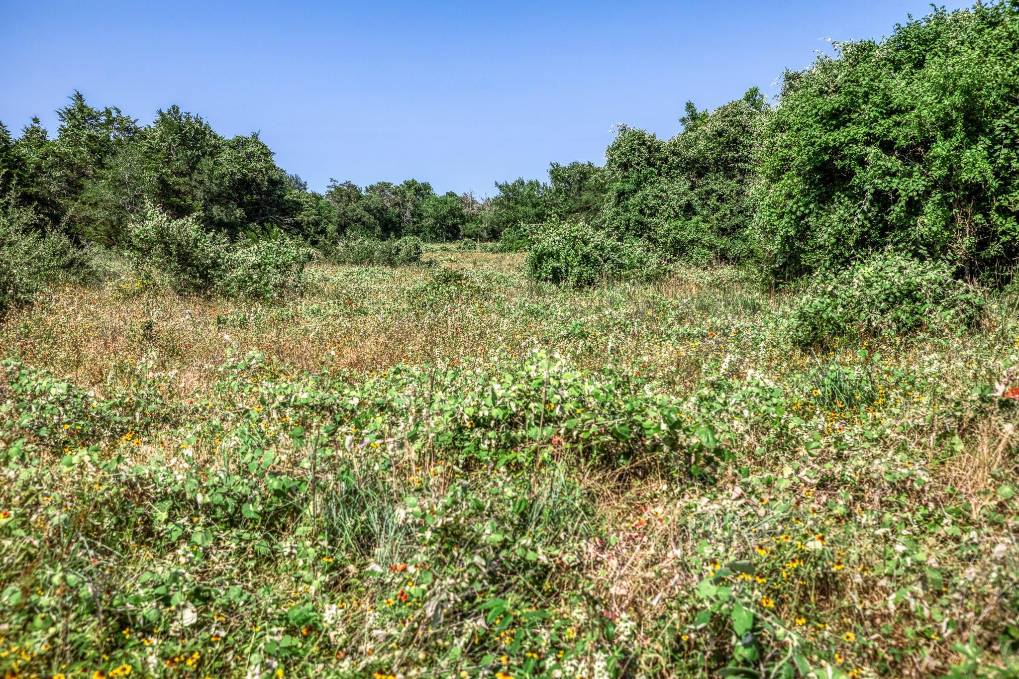 TBD (88.852 Acres) Smith Rd, Bastrop, TX 78602