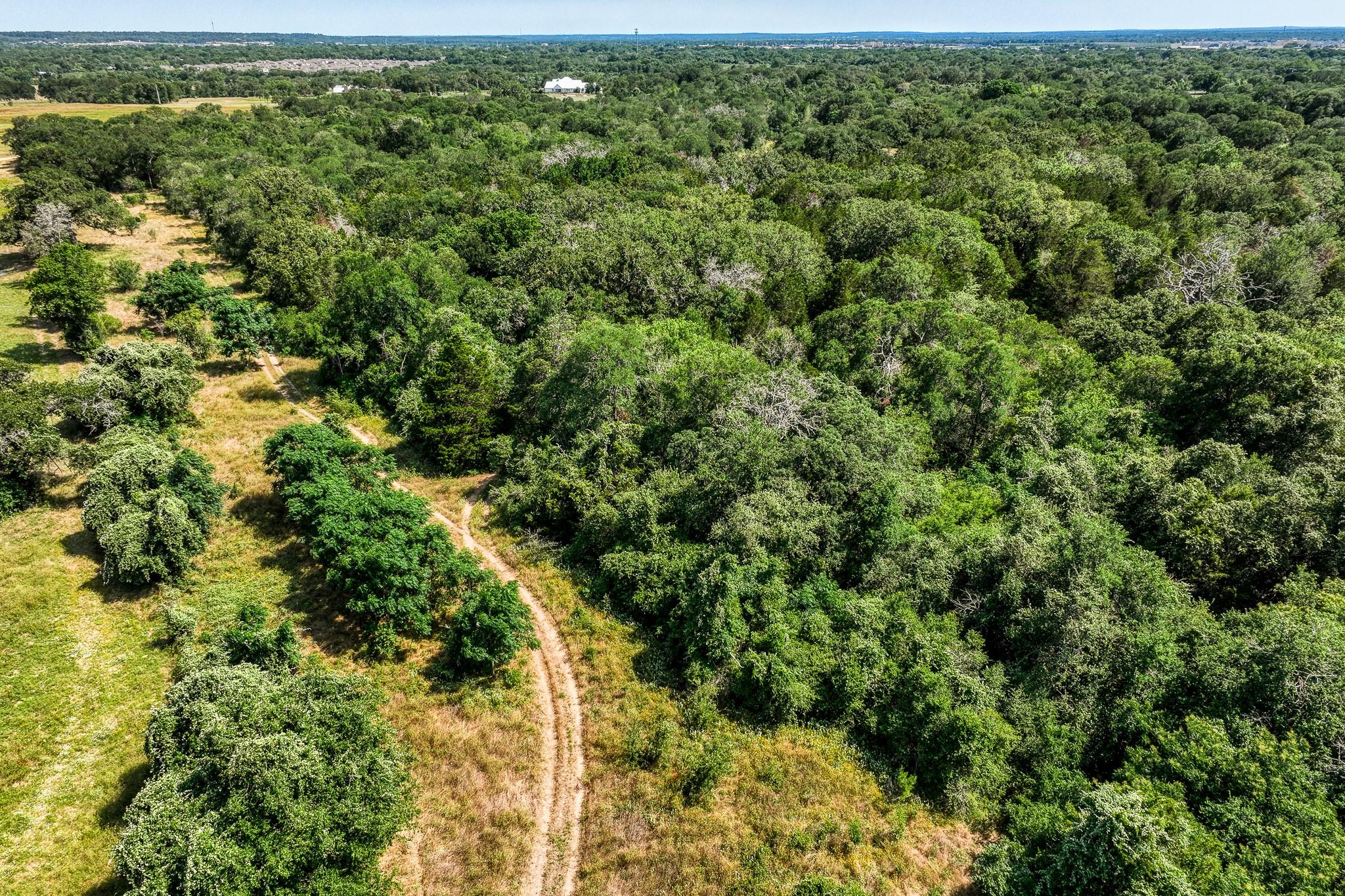 TBD (88.852 Acres) Smith Rd, Bastrop, TX 78602
