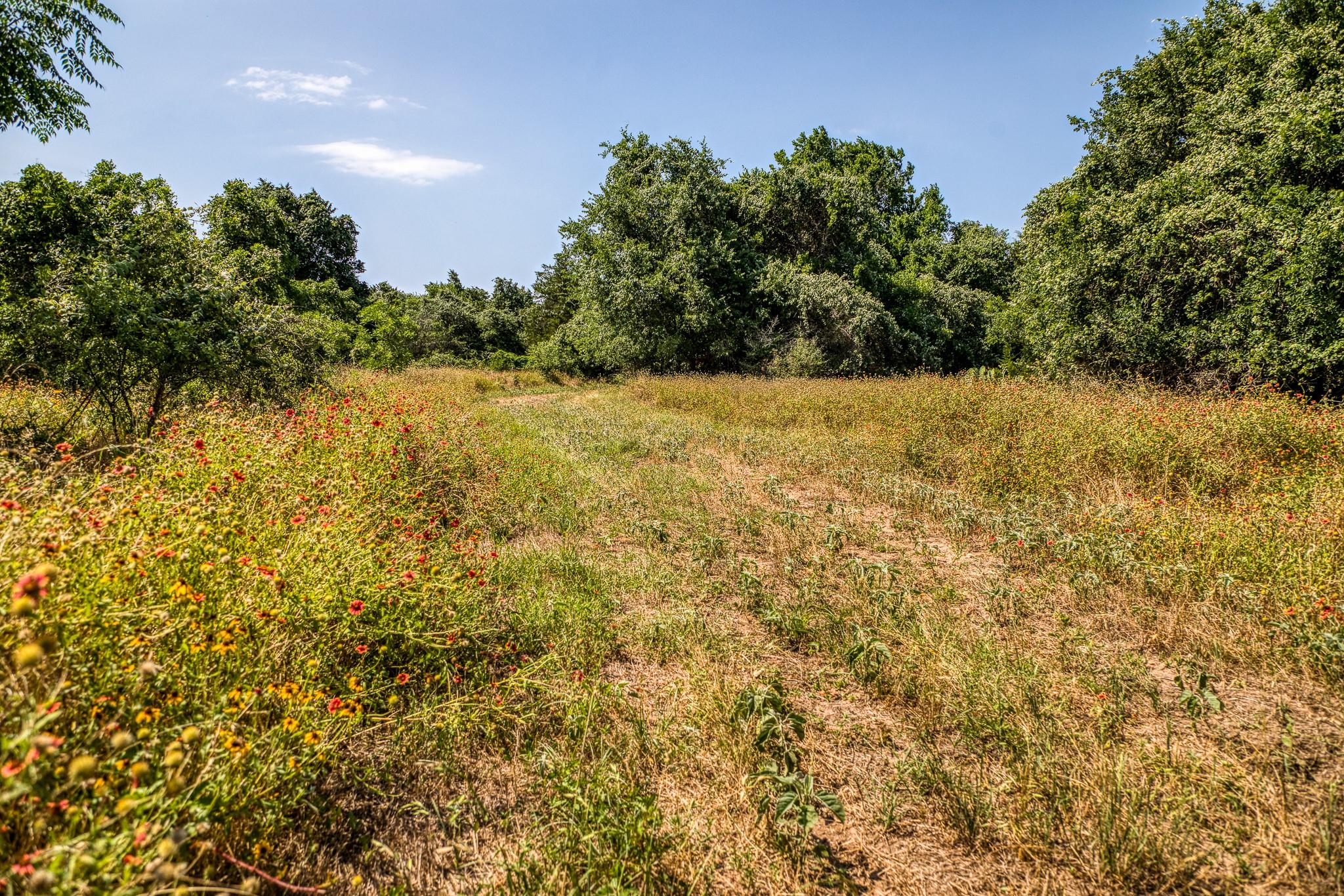 TBD (88.852 Acres) Smith Rd, Bastrop, TX 78602