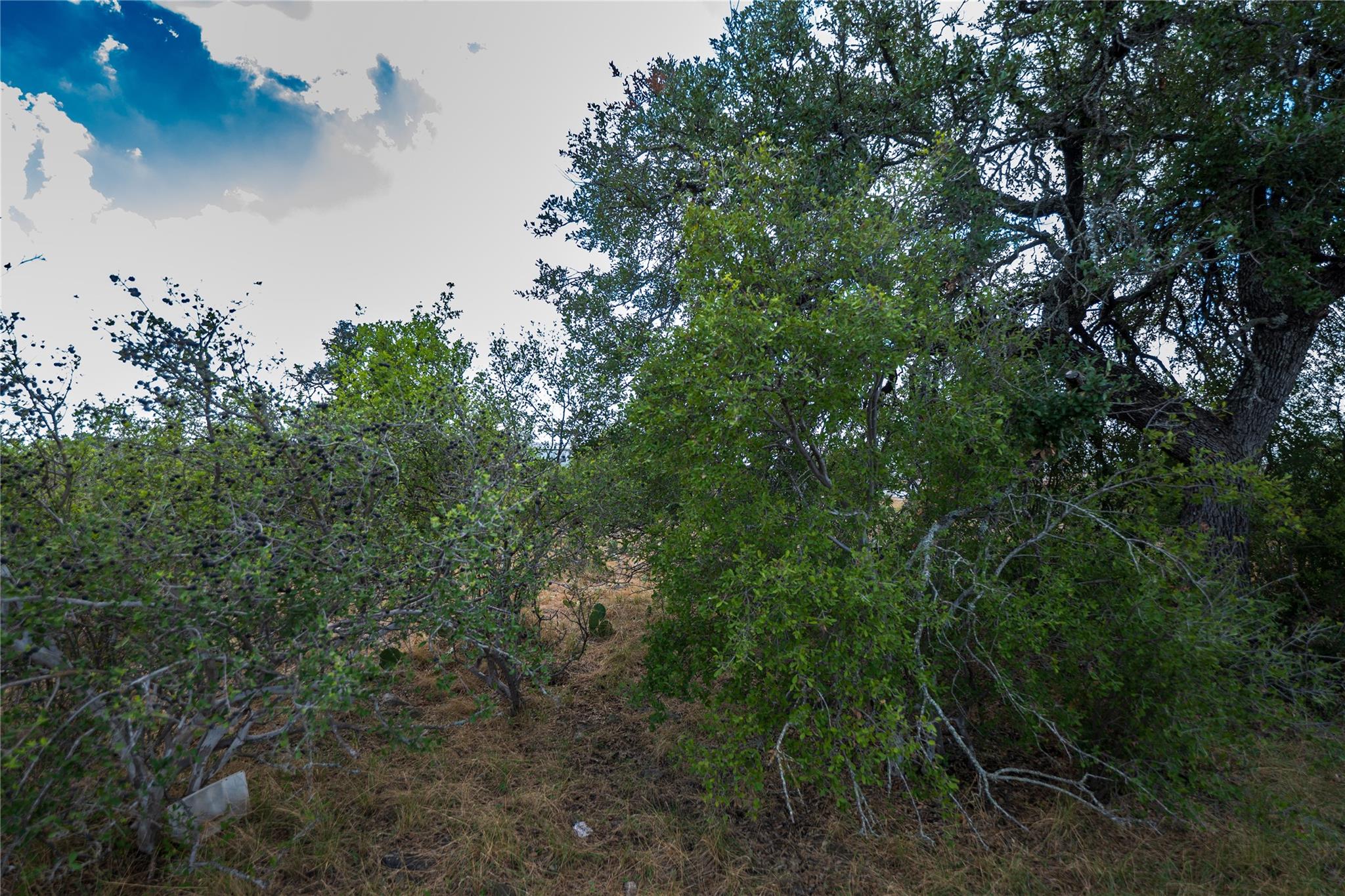 TBD Crooked Run, Horseshoe Bay, TX 78657