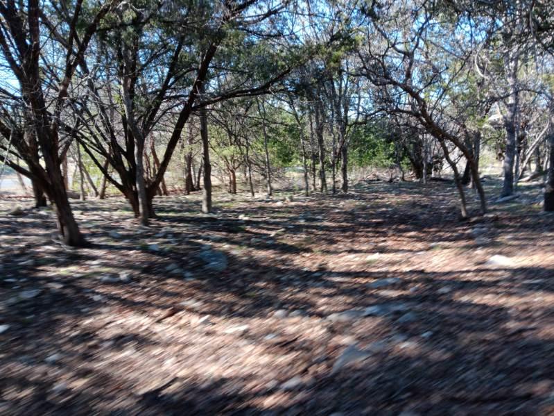 101 Timber Line Rd, Georgetown, TX 78633