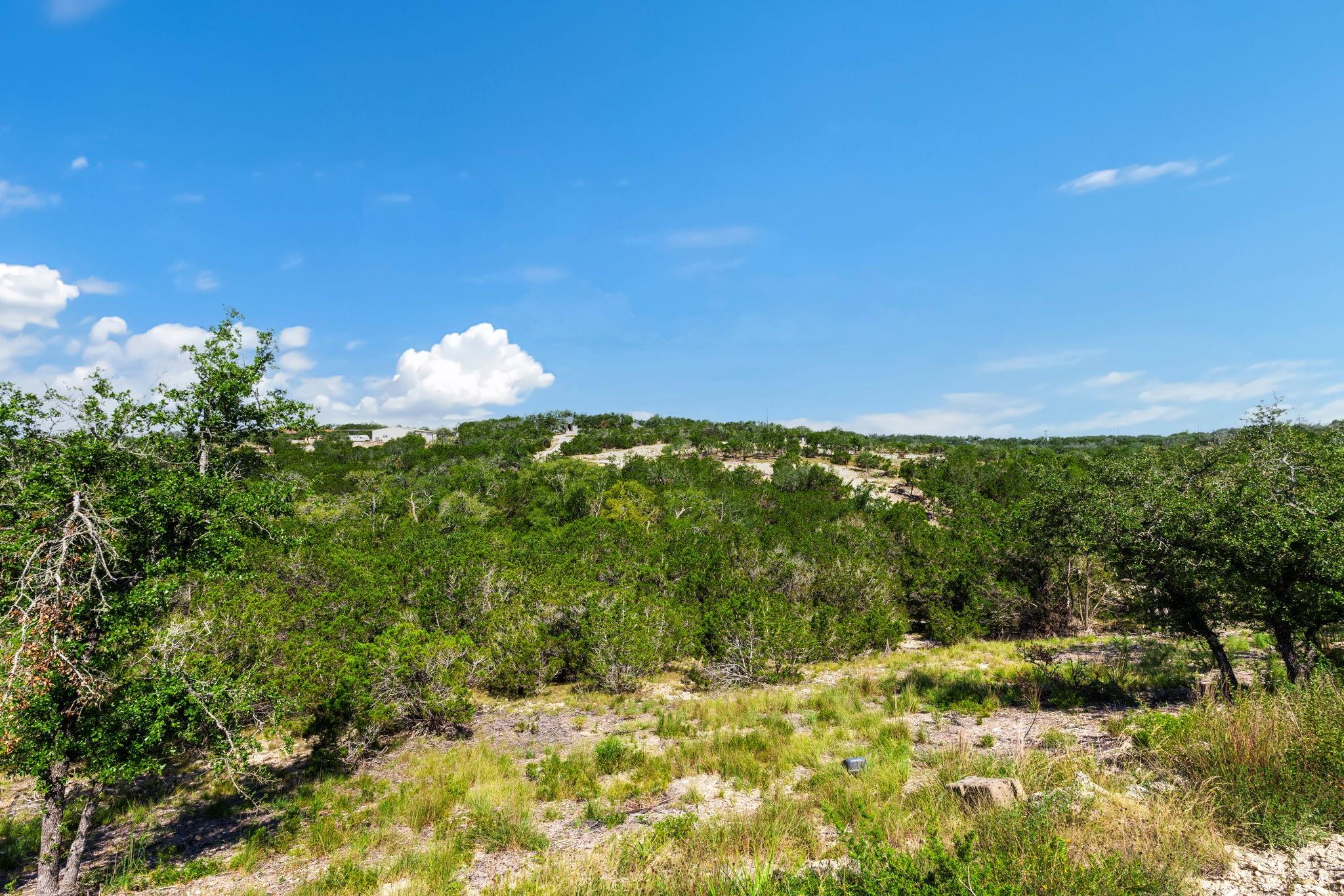 472 Stallion Estates Dr, Blanco, TX 78070