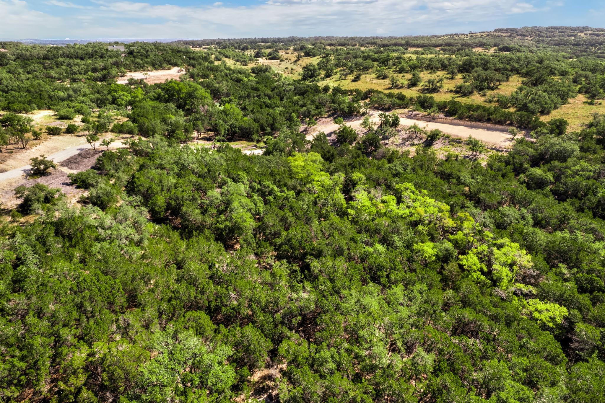 472 Stallion Estates Dr, Blanco, TX 78070