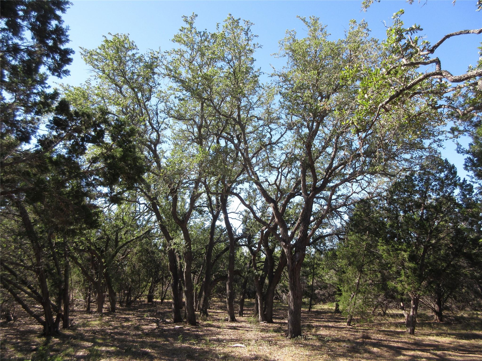 Lot 36 Mustang Valley Trl, Wimberley, TX 78676