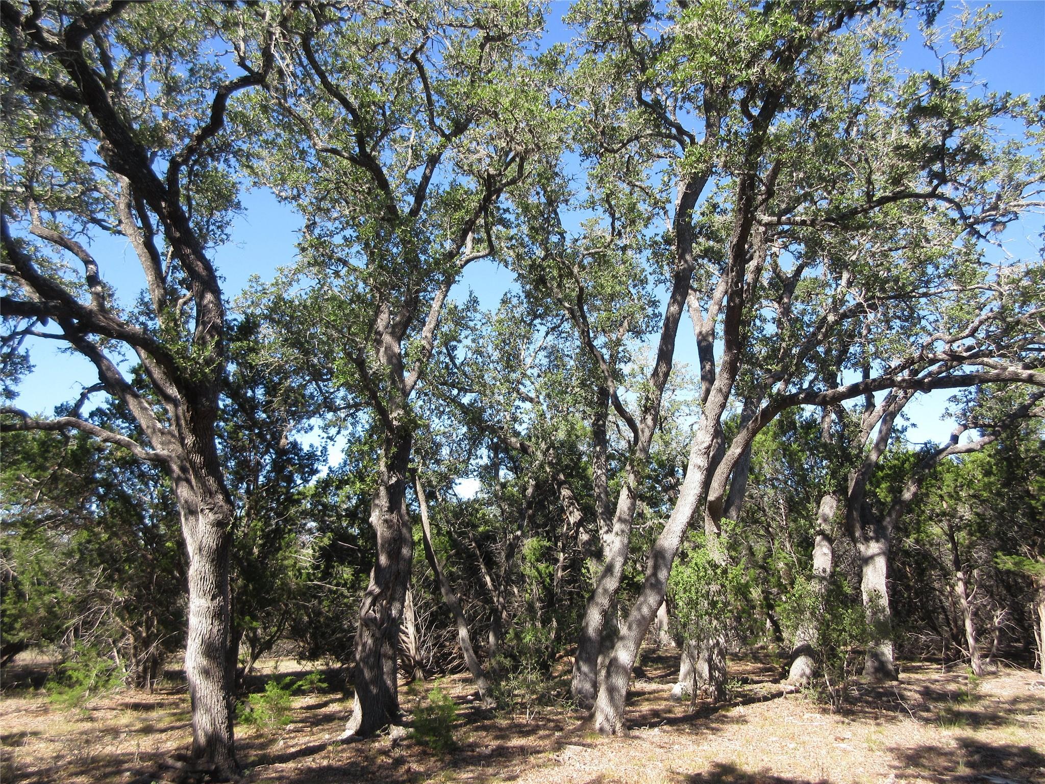Lot 36 Mustang Valley Trl, Wimberley, TX 78676