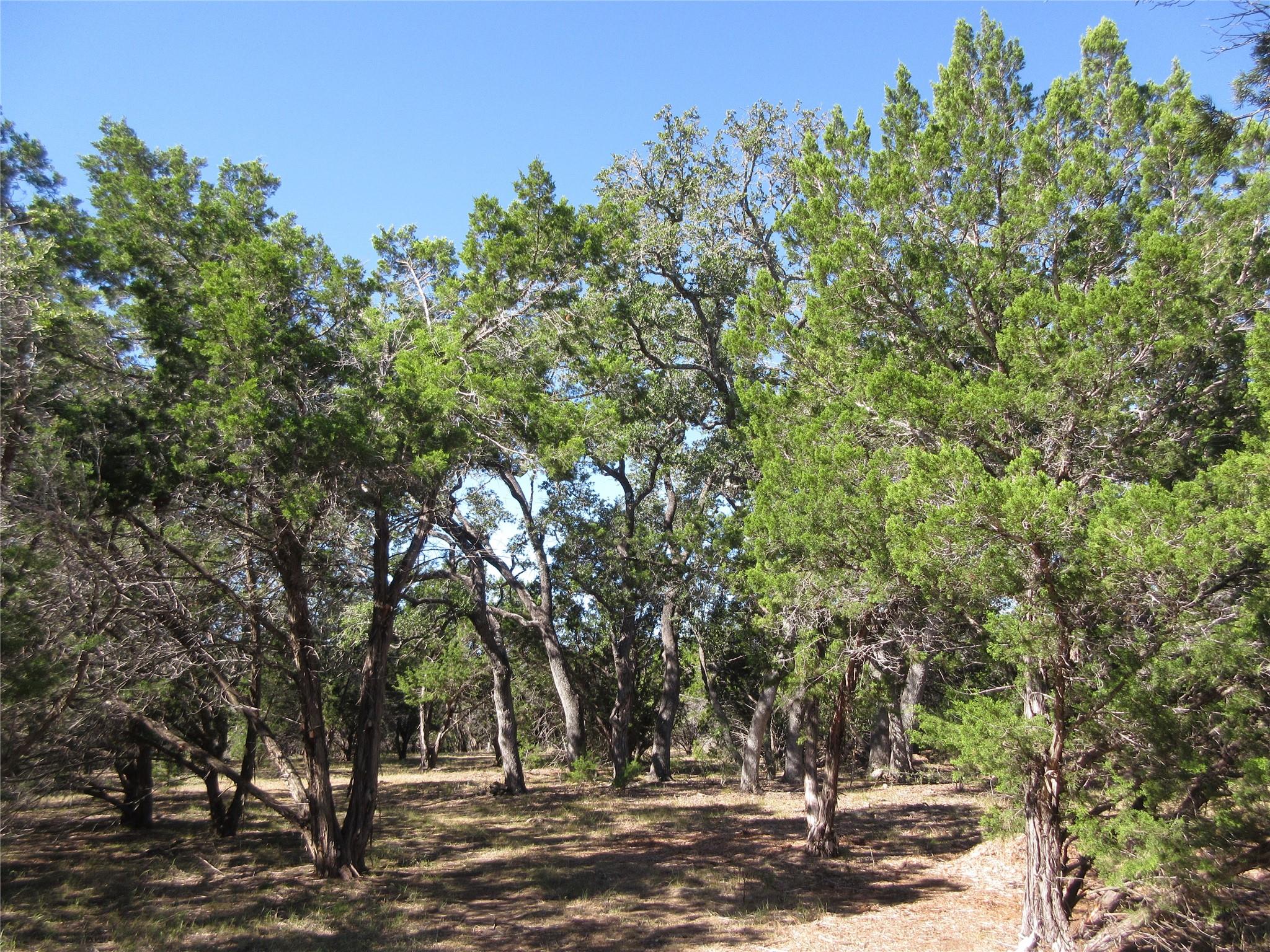 Lot 36 Mustang Valley Trl, Wimberley, TX 78676