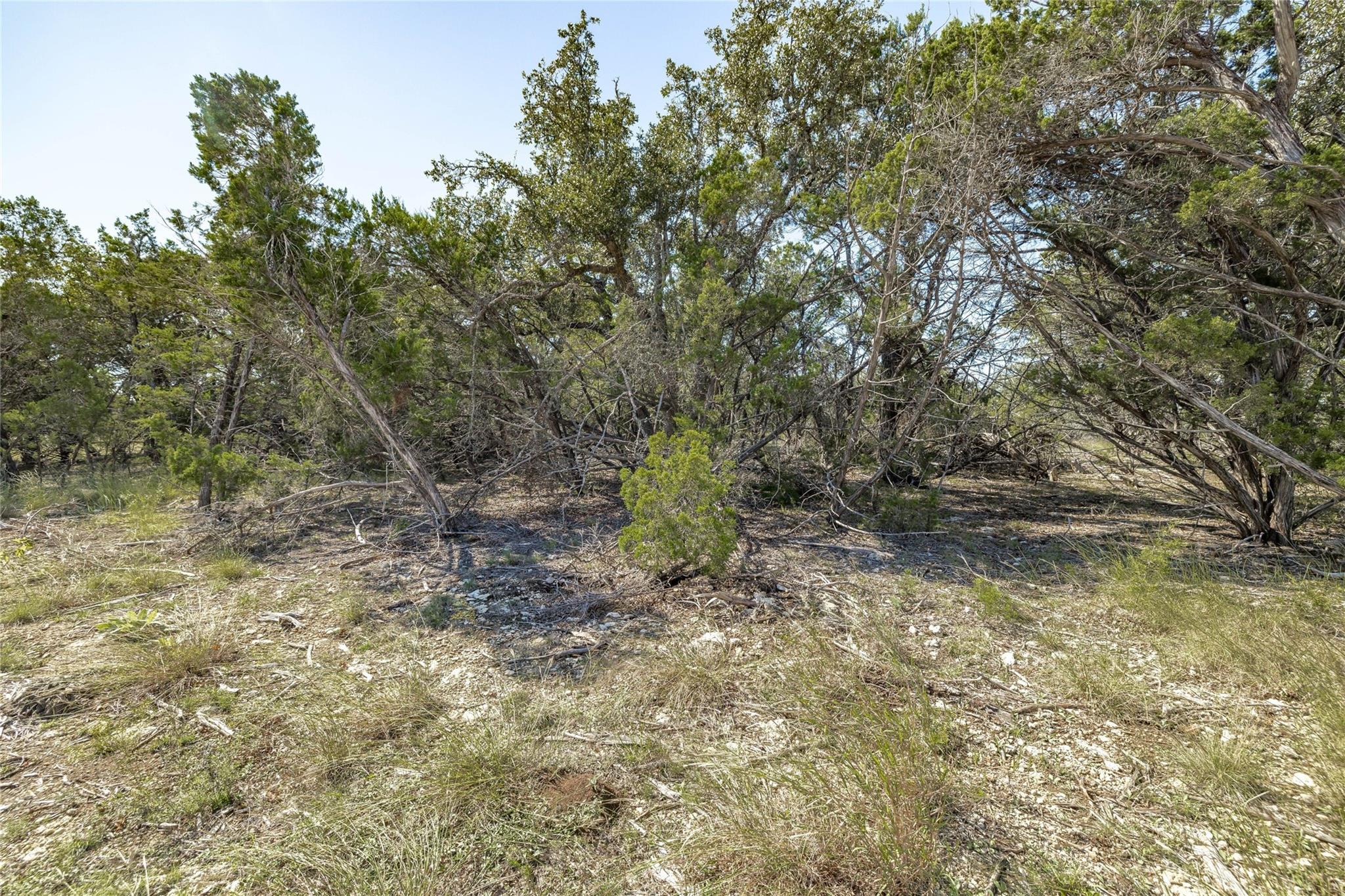 TBD County Road 281, Leander, TX 78641