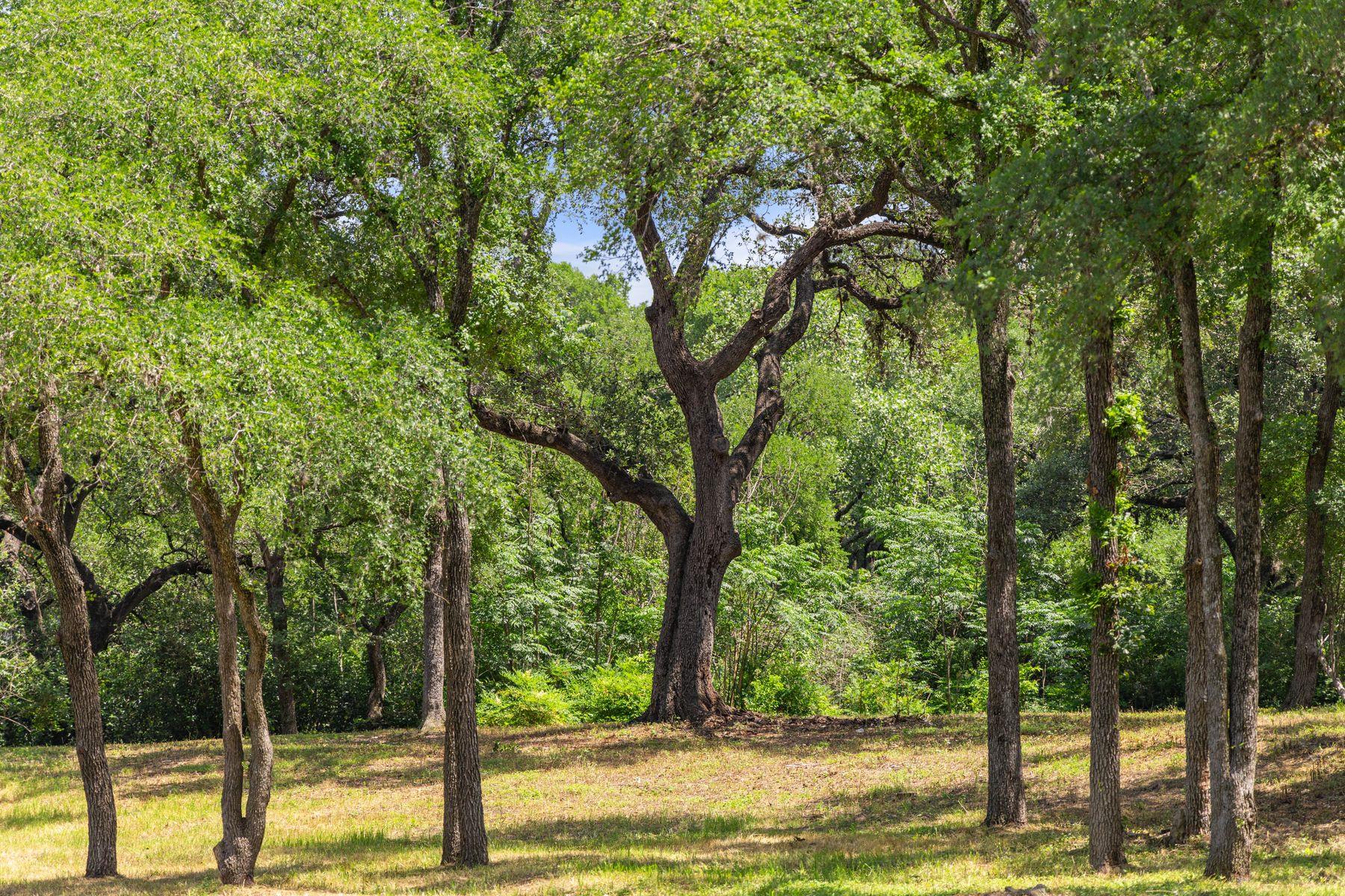 1121 Azie Morton Rd, Austin, TX 78704