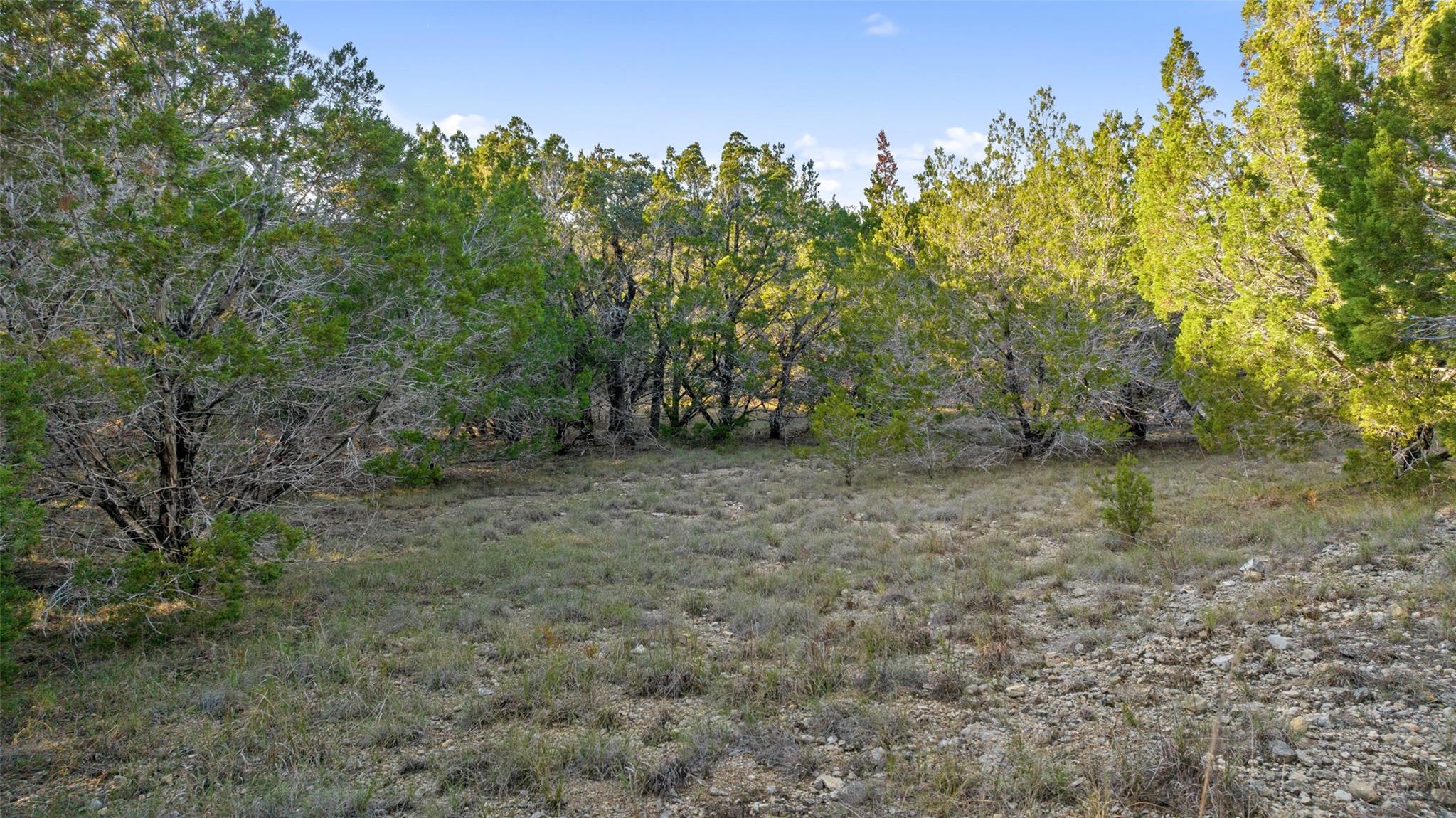 1001TBD Gregg Dr, Spicewood, TX 78669