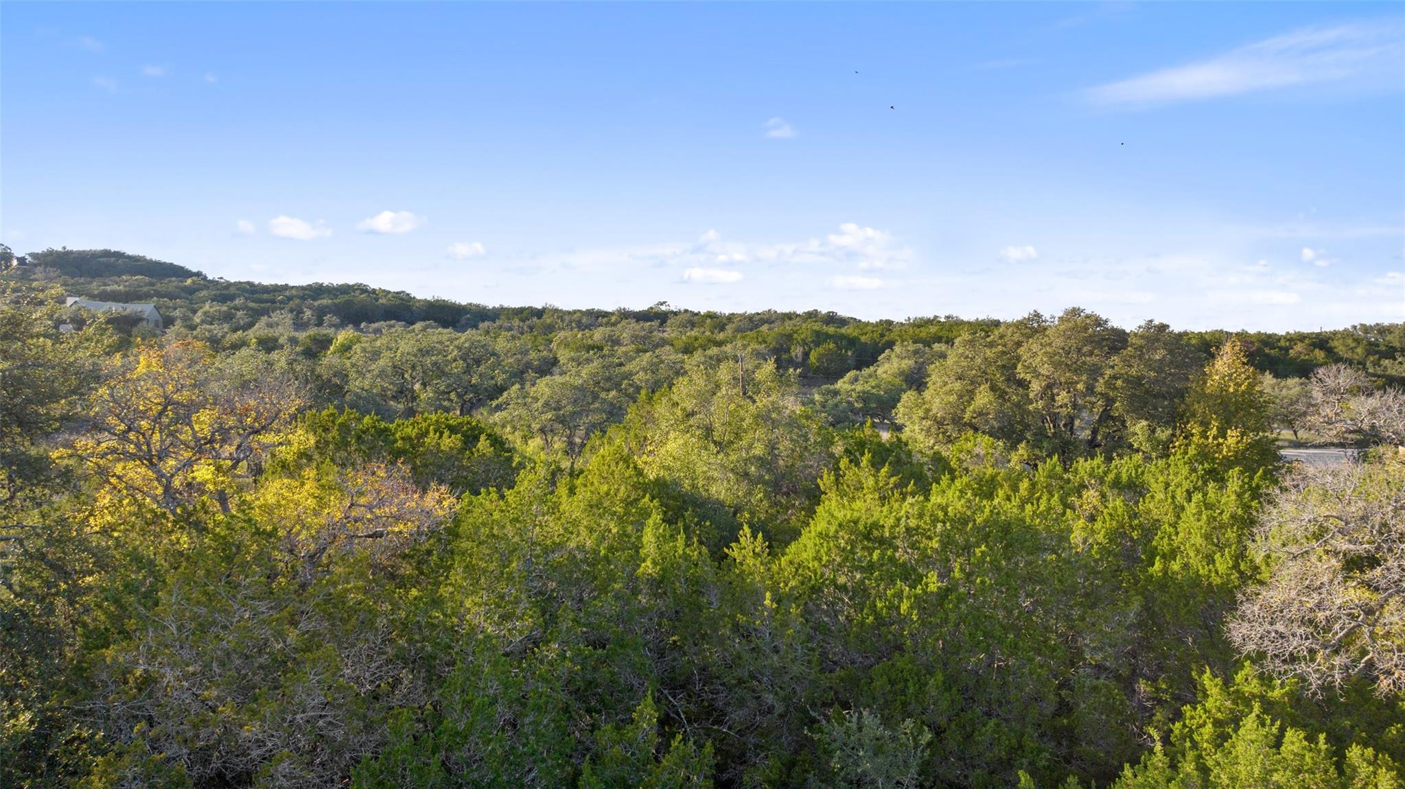 1001TBD Gregg Dr, Spicewood, TX 78669