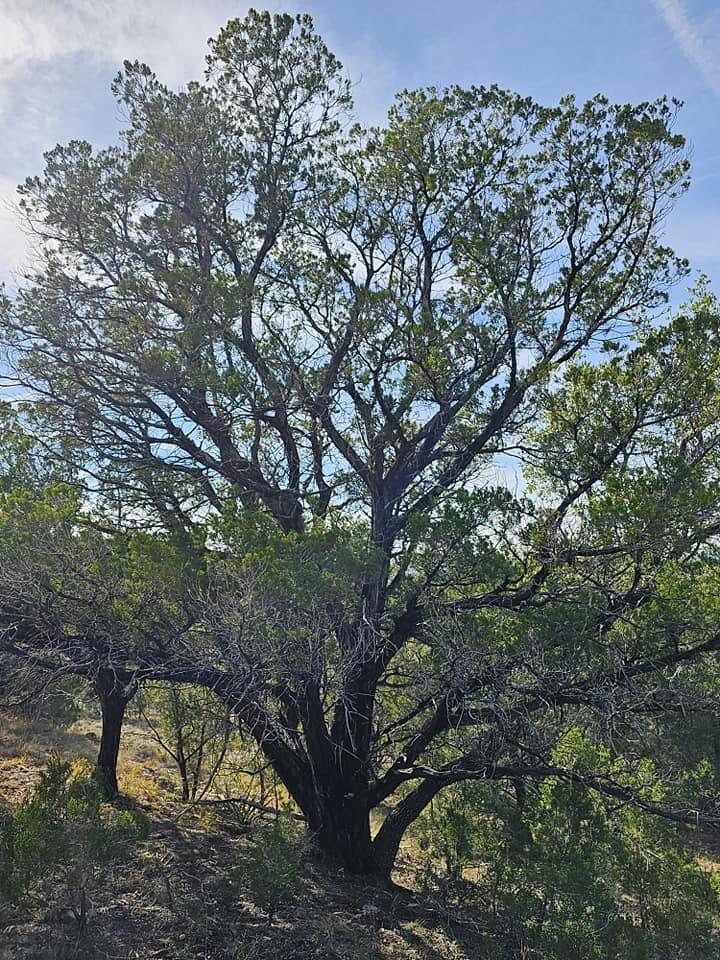 6438 Shaw Dr, Marble Falls, TX 78654