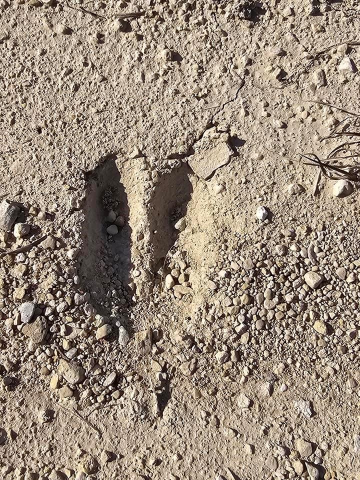 6438 Shaw Dr, Marble Falls, TX 78654