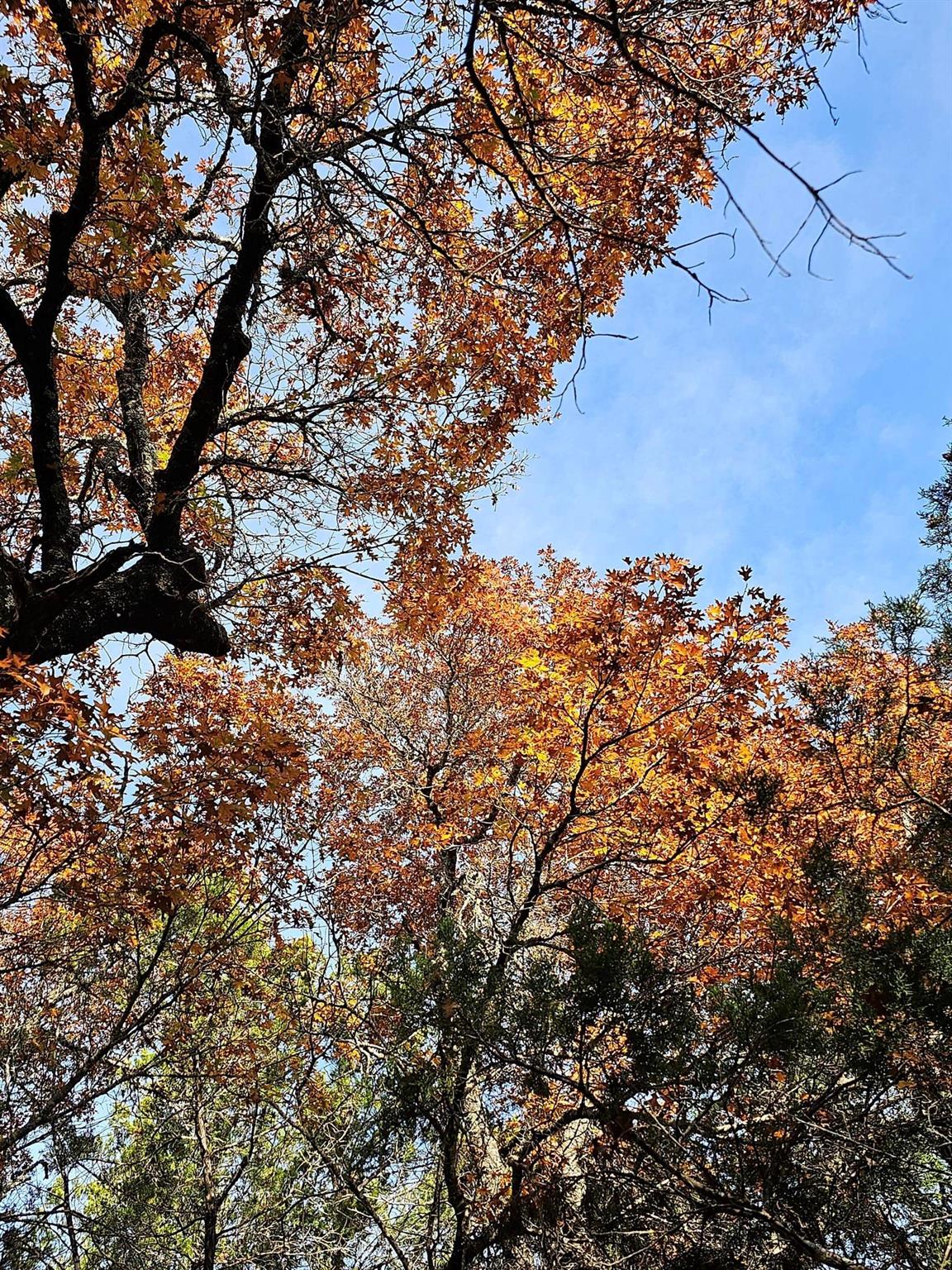 6438 Shaw Dr, Marble Falls, TX 78654