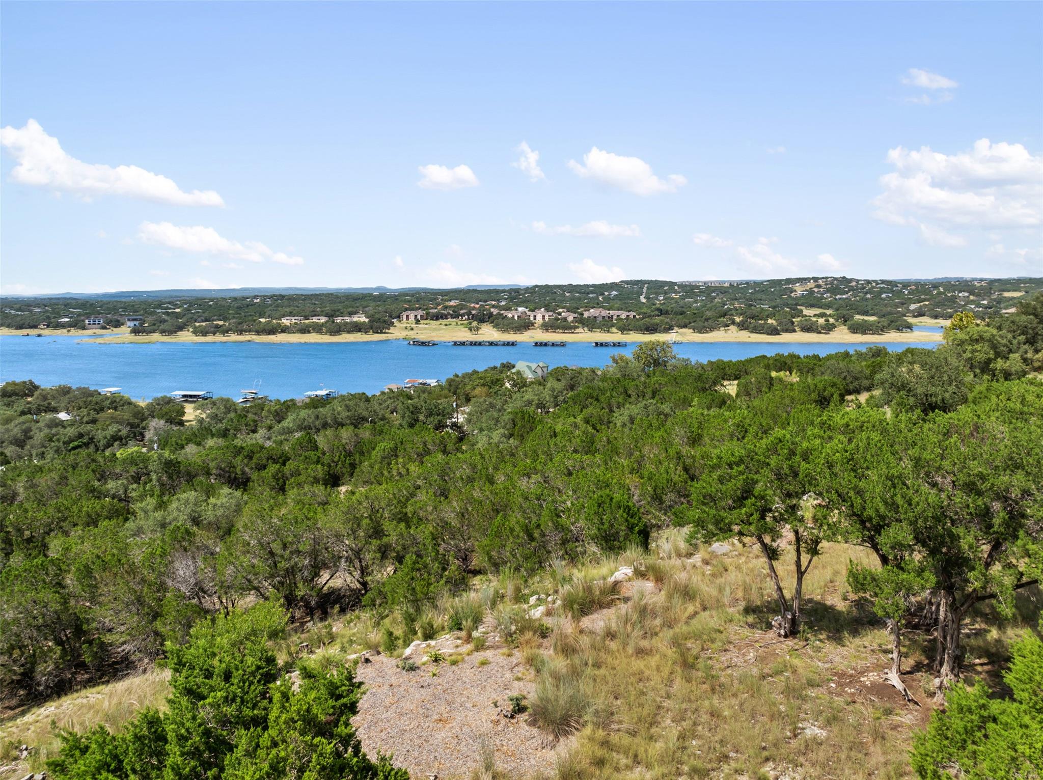 10 Thurman Bluff Dr, Spicewood, TX 78669