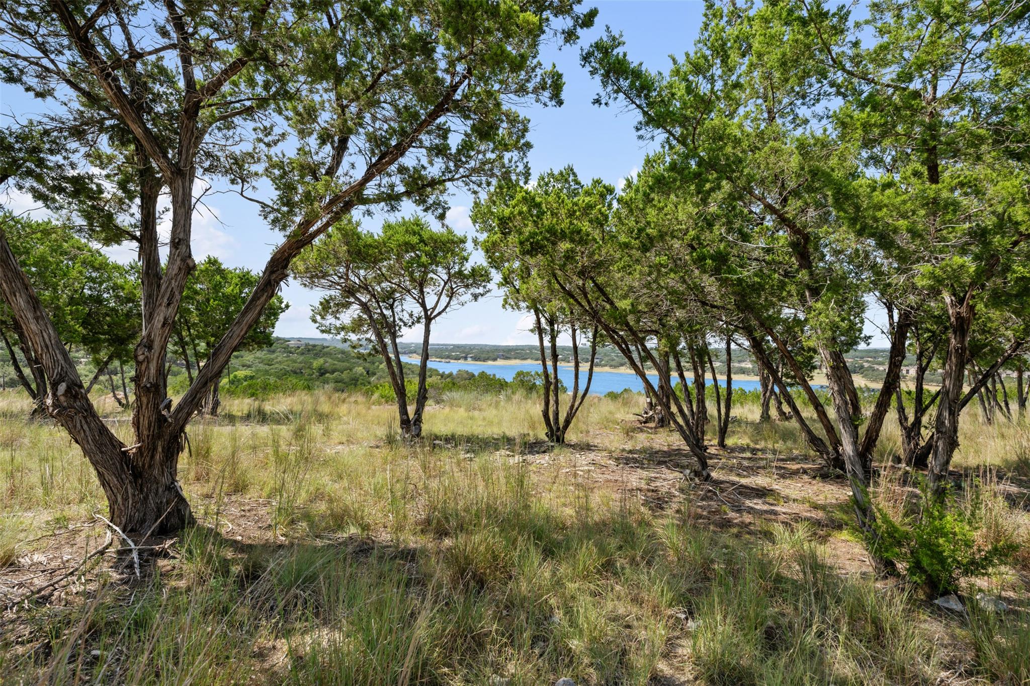 10 Thurman Bluff Dr, Spicewood, TX 78669