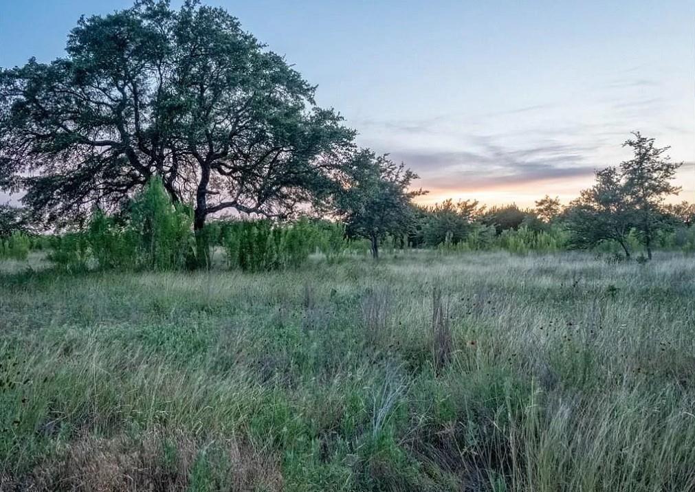 Lot 185 Three Creeks Dr, Bertram, TX 78605