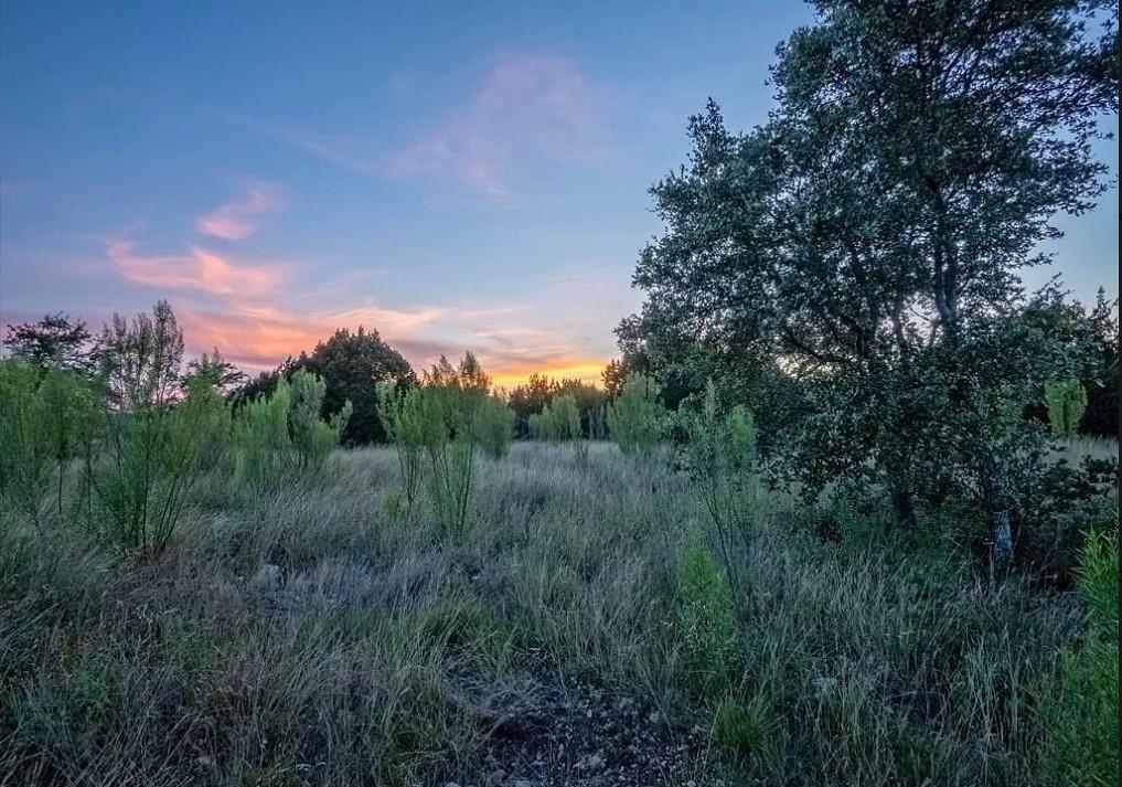 Lot 185 Three Creeks Dr, Bertram, TX 78605