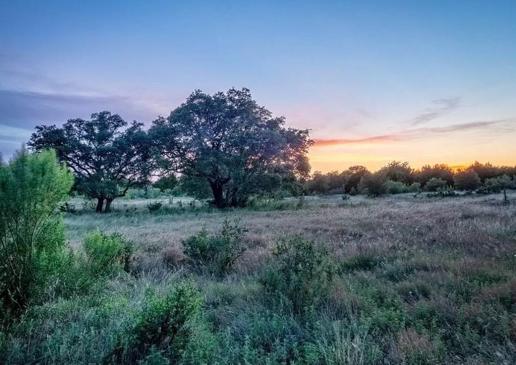 Lot 185 Three Creeks Dr, Bertram, TX 78605