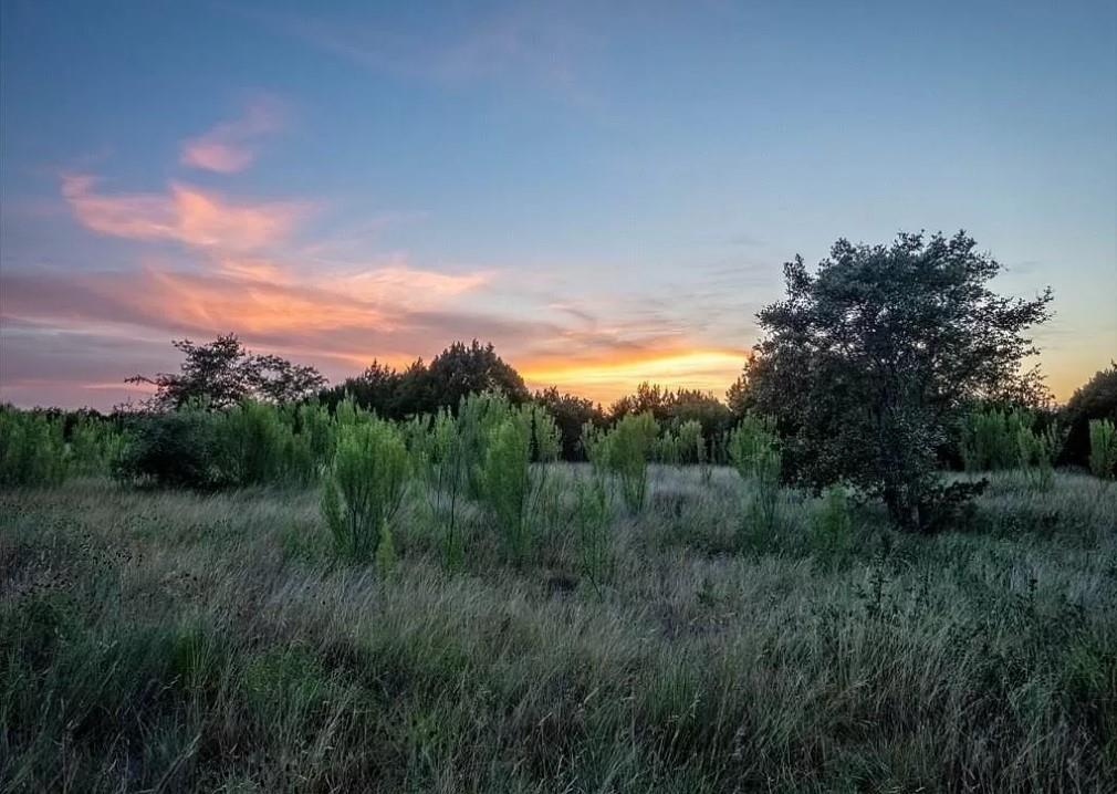 Lot 185 Three Creeks Dr, Bertram, TX 78605