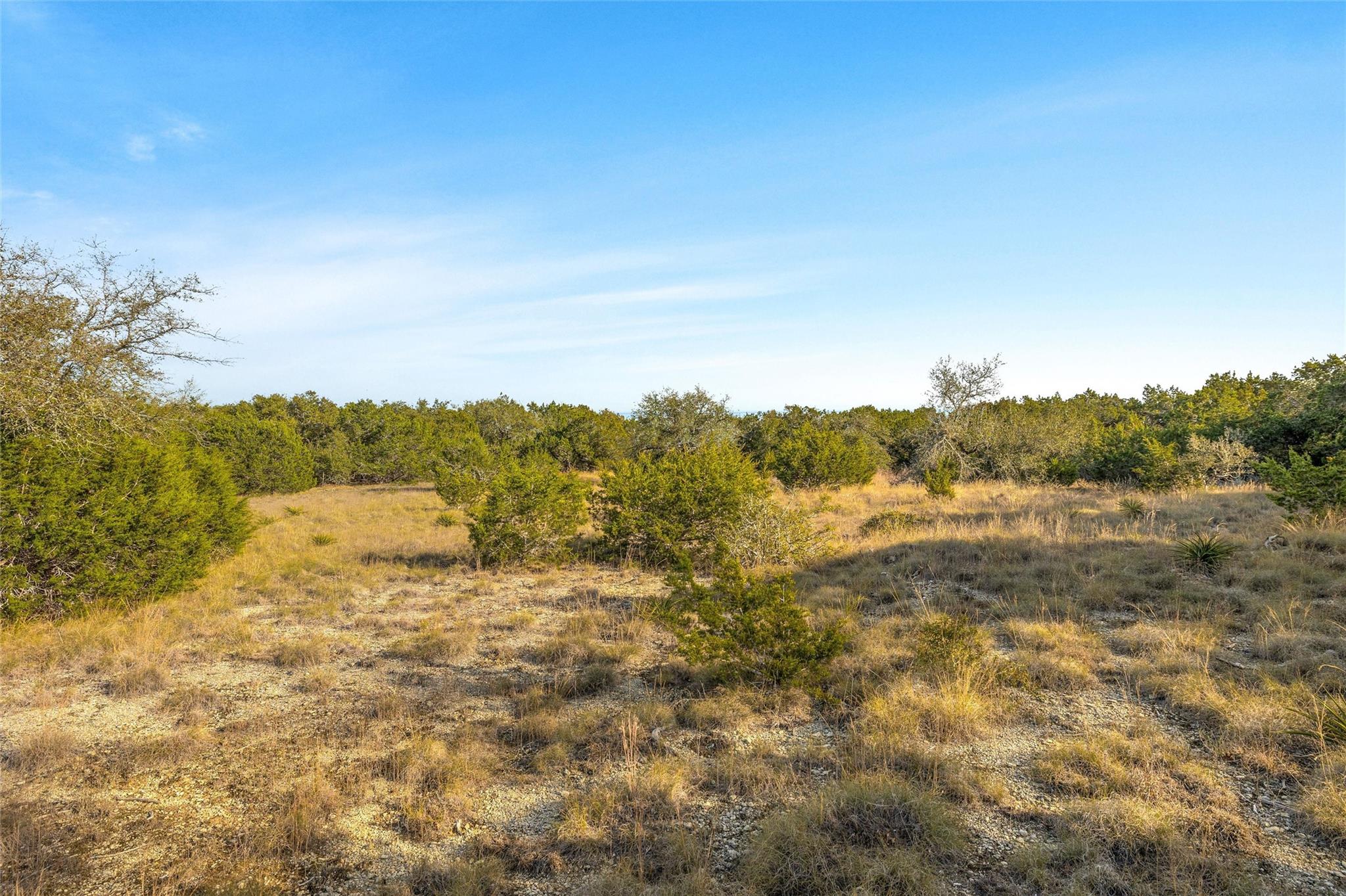 10107 Davy Crockett Dr, Dripping Springs, TX 78620