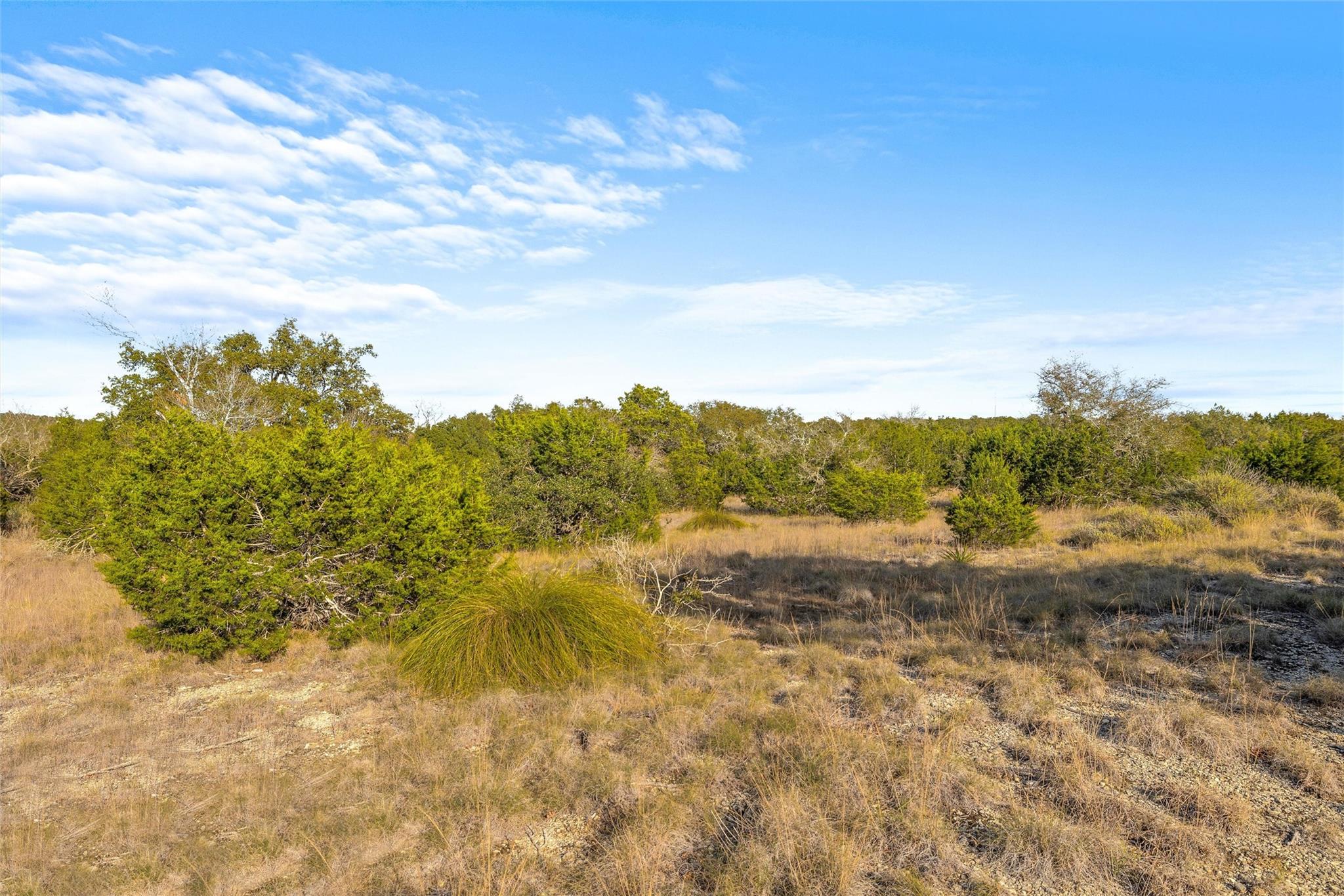 10107 Davy Crockett Dr, Dripping Springs, TX 78620