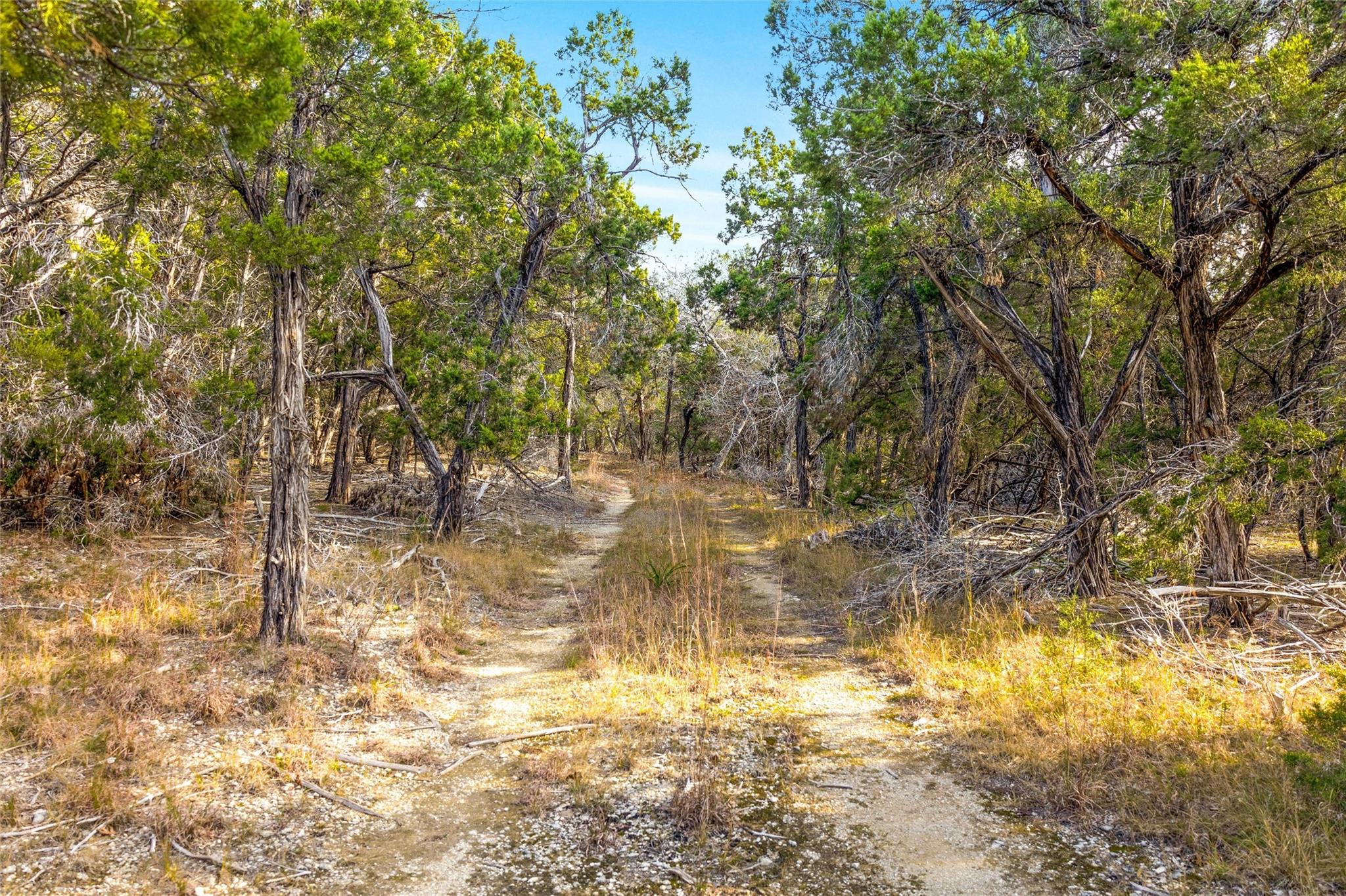 10107 Davy Crockett Dr, Dripping Springs, TX 78620